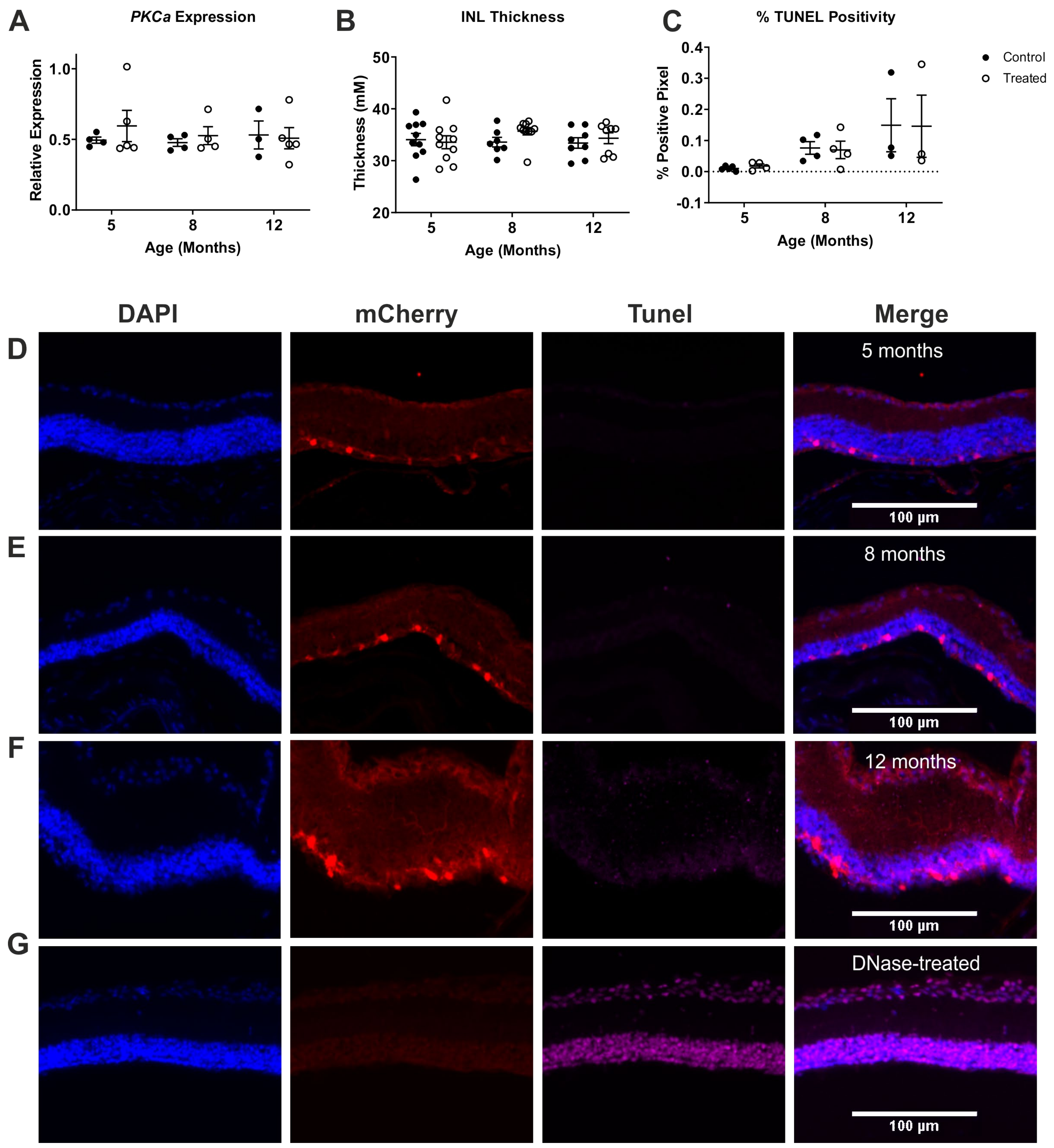 Ijms 22 13111 g003 Ijms 22 13111 g003