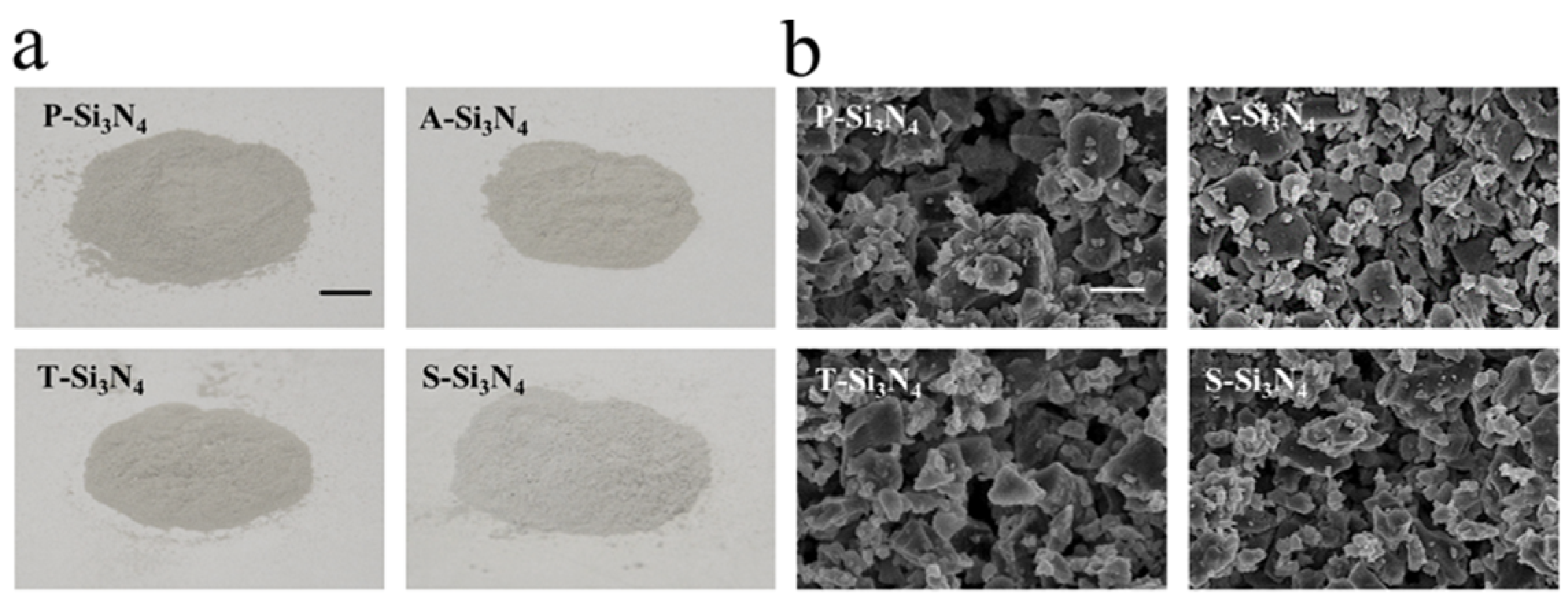 Ijms 22 13130 g001 Ijms 22 13130 g001