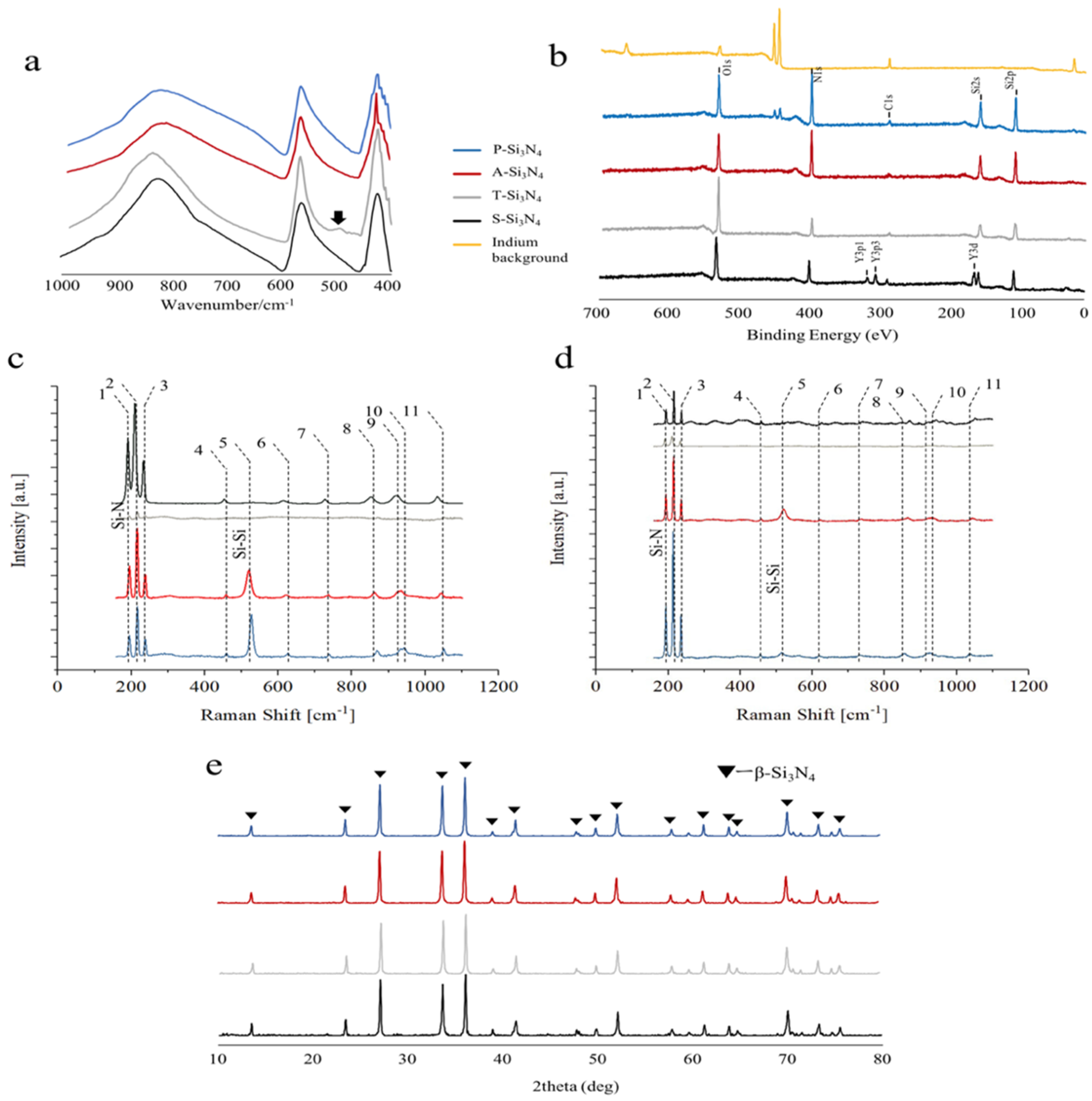 Ijms 22 13130 g002 Ijms 22 13130 g002