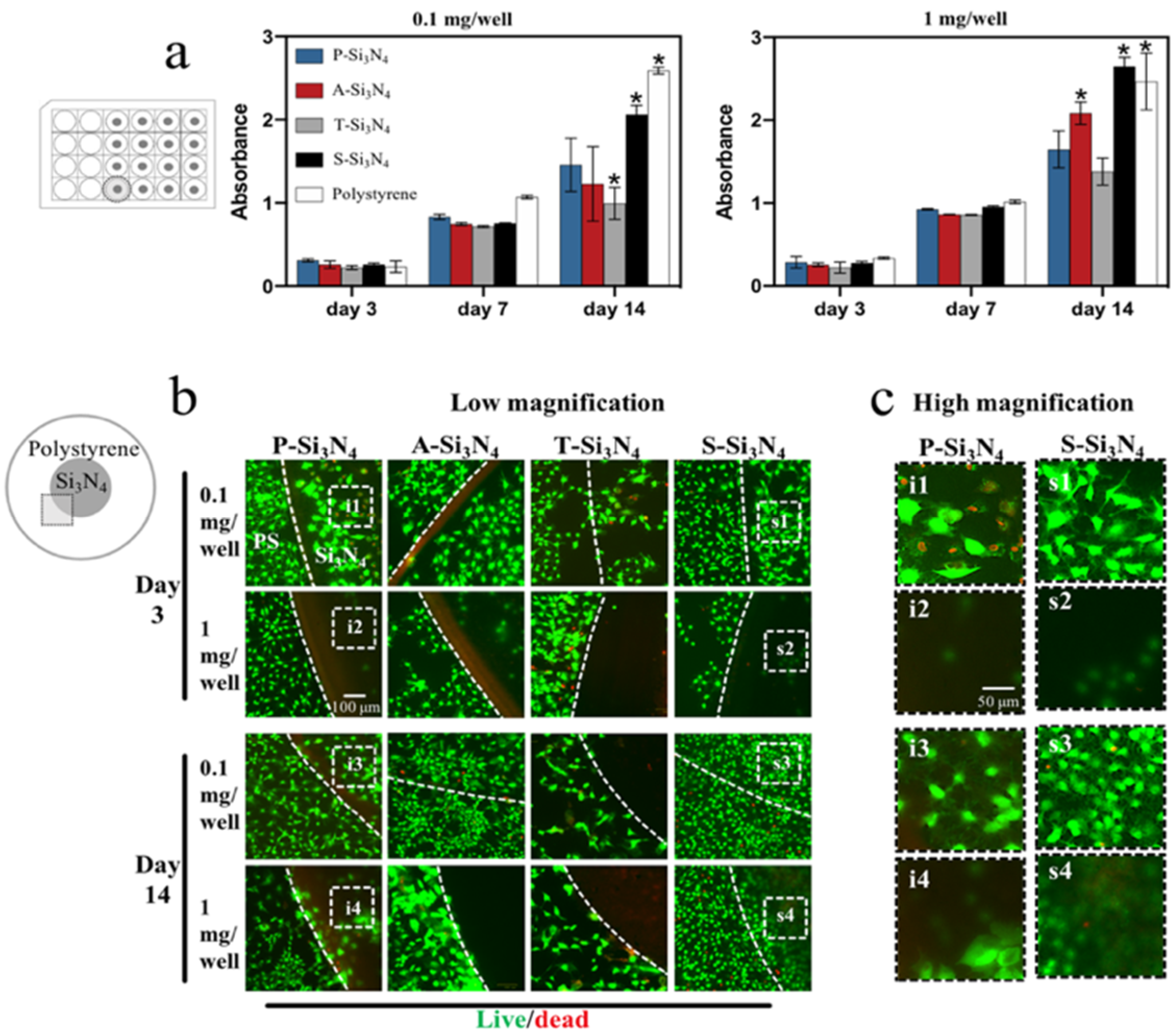Ijms 22 13130 g004 Ijms 22 13130 g004