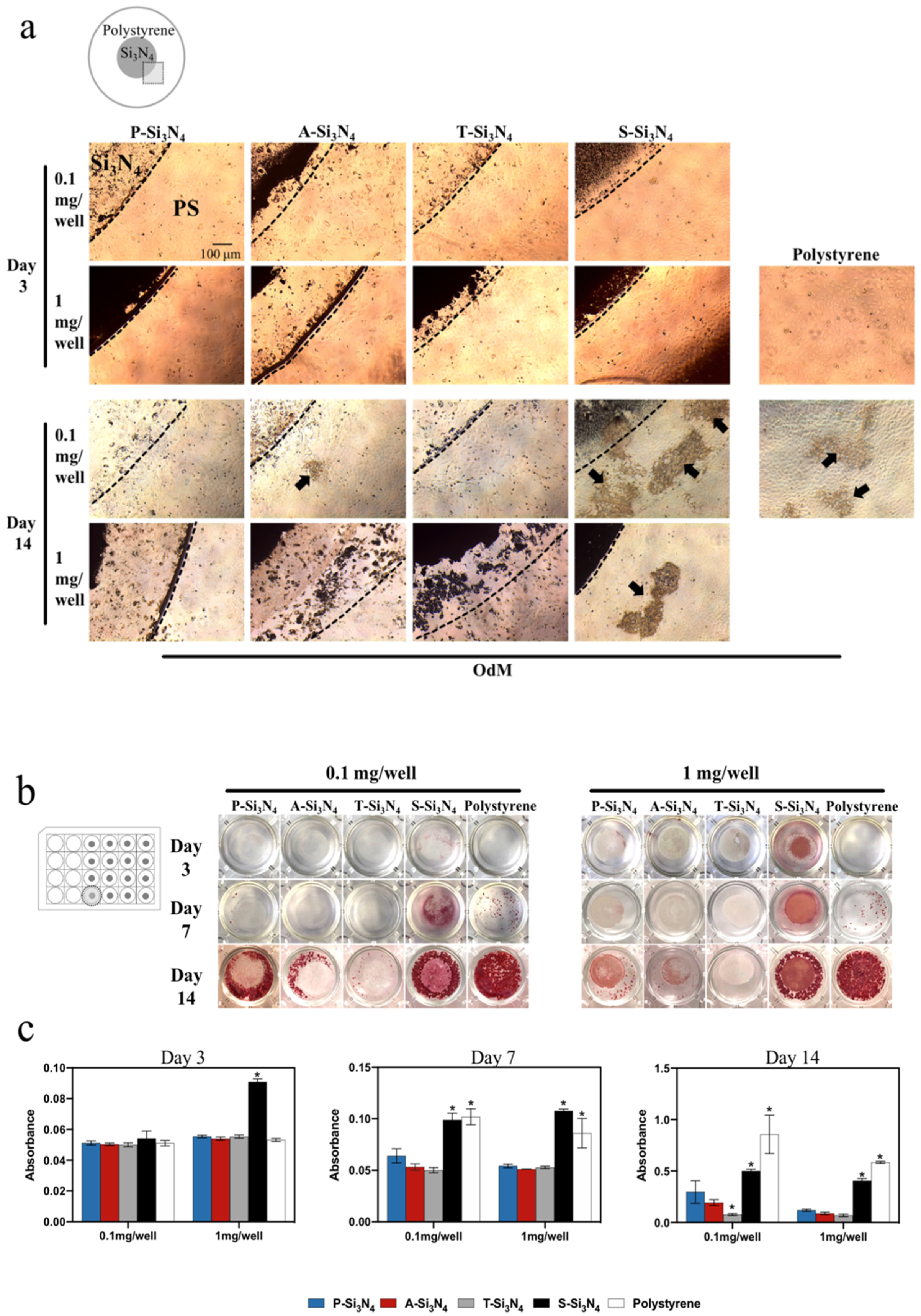 Ijms 22 13130 g006 Ijms 22 13130 g006