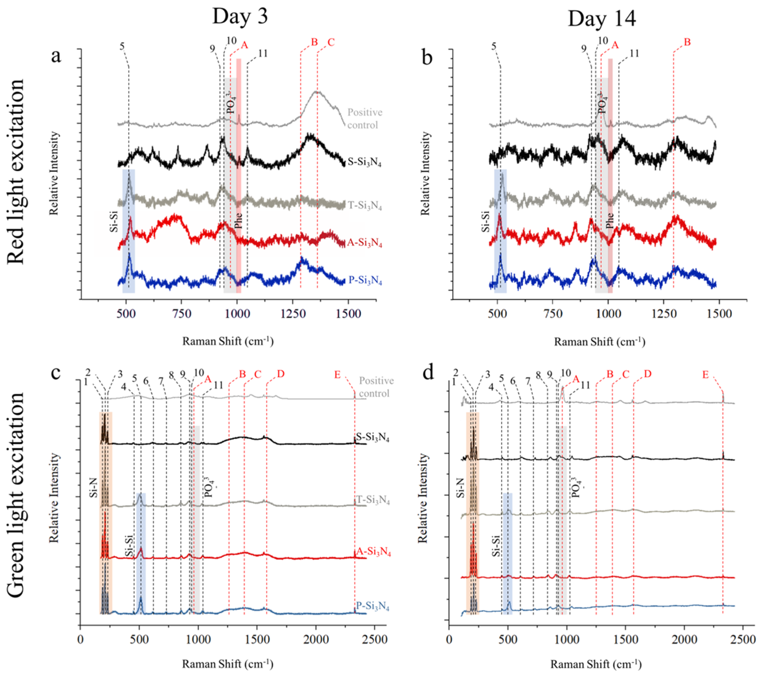 Ijms 22 13130 g007 Ijms 22 13130 g007