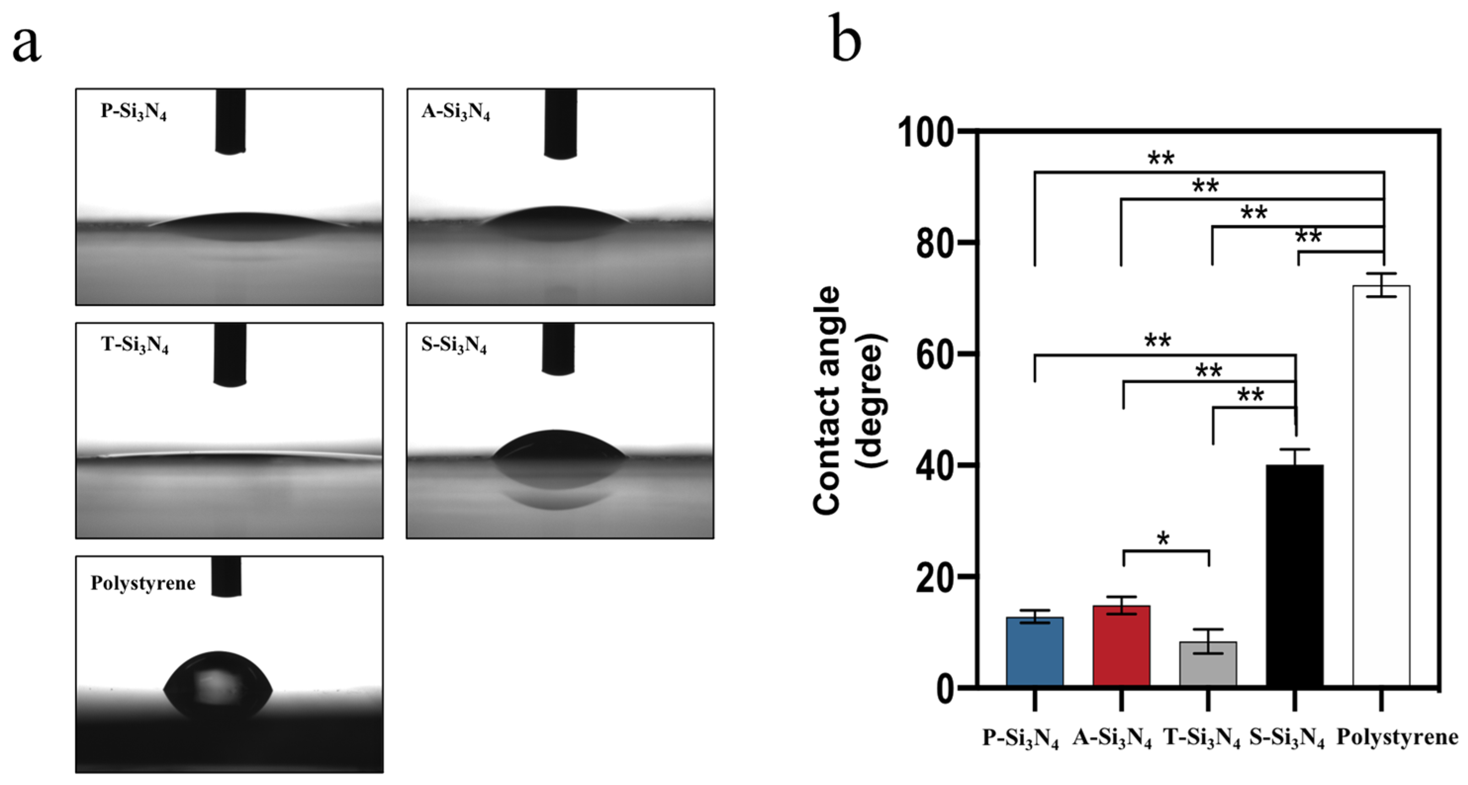 Ijms 22 13130 g008 Ijms 22 13130 g008