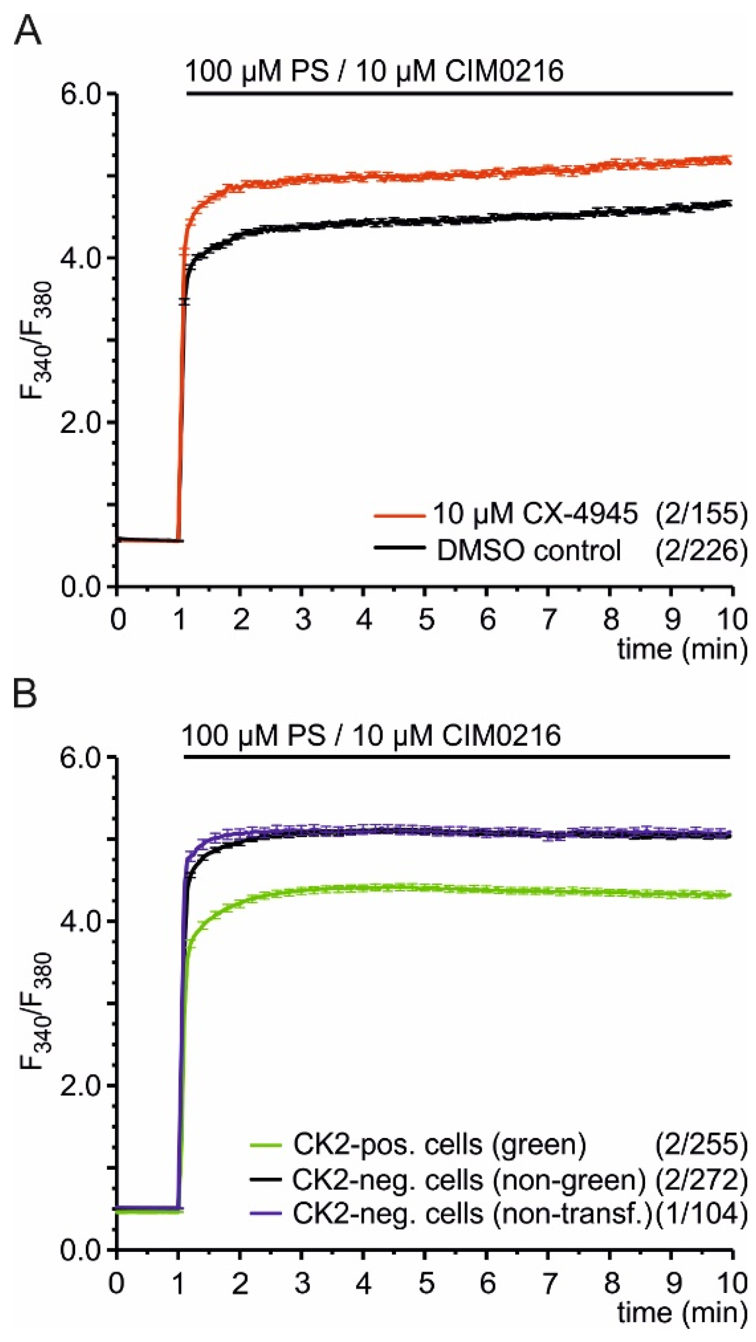 Ijms 22 13133 g002 Ijms 22 13133 g002