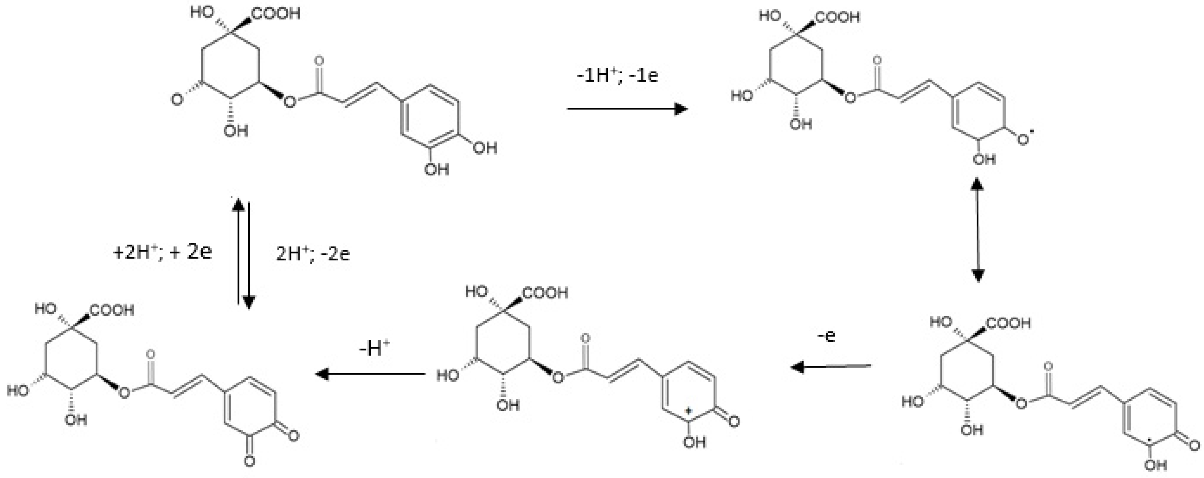 Ijms 22 13138 g004