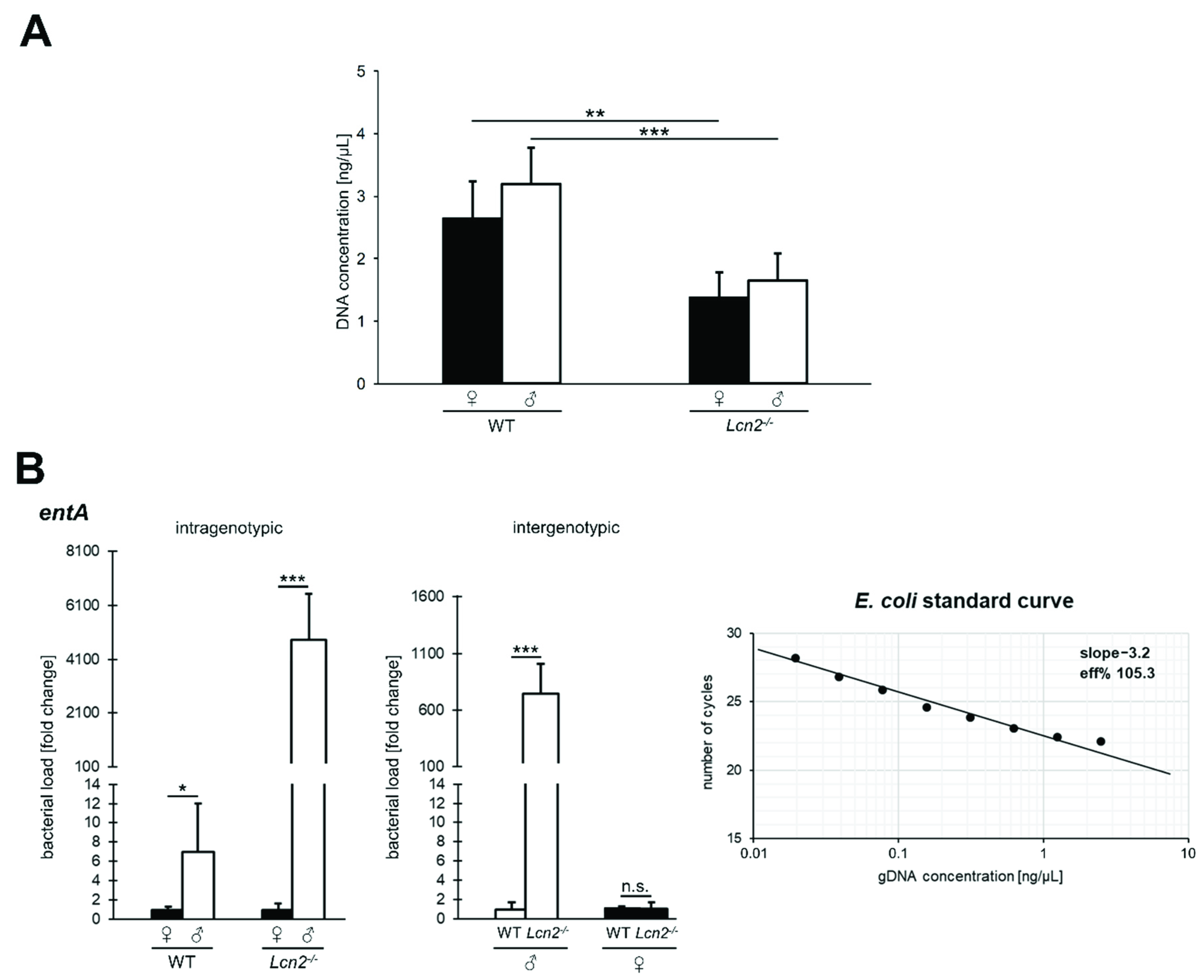 Ijms 22 13156 g001 Ijms 22 13156 g001