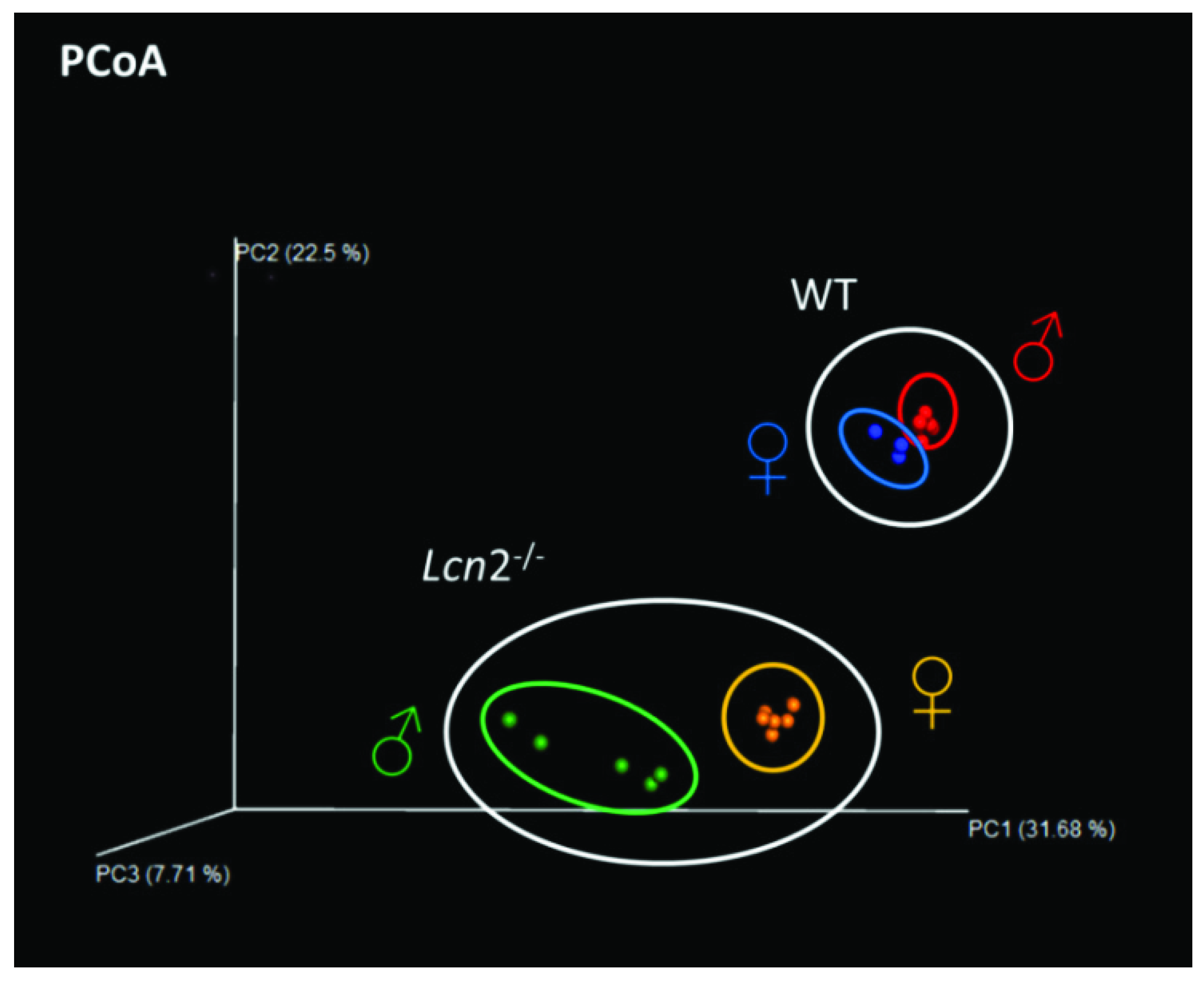 Ijms 22 13156 g003 Ijms 22 13156 g003