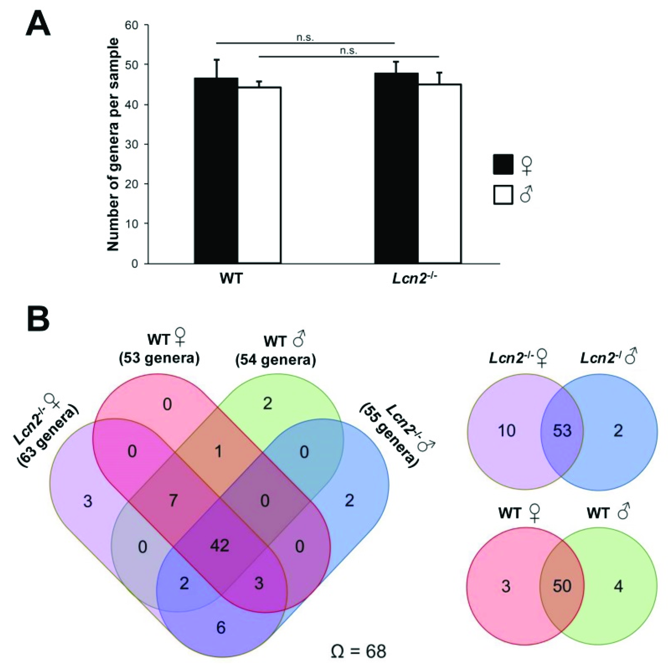 Ijms 22 13156 g004 Ijms 22 13156 g004