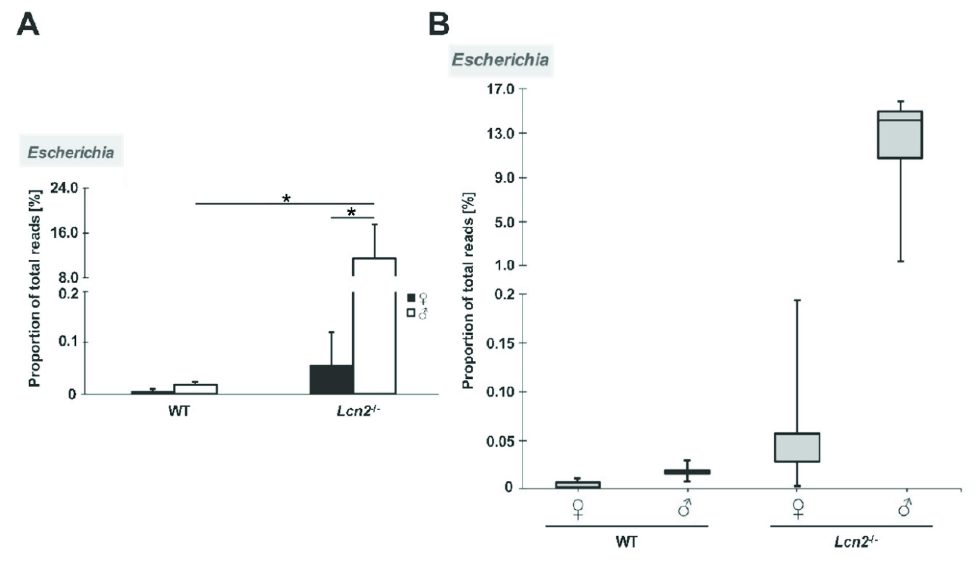 Ijms 22 13156 g007 Ijms 22 13156 g007