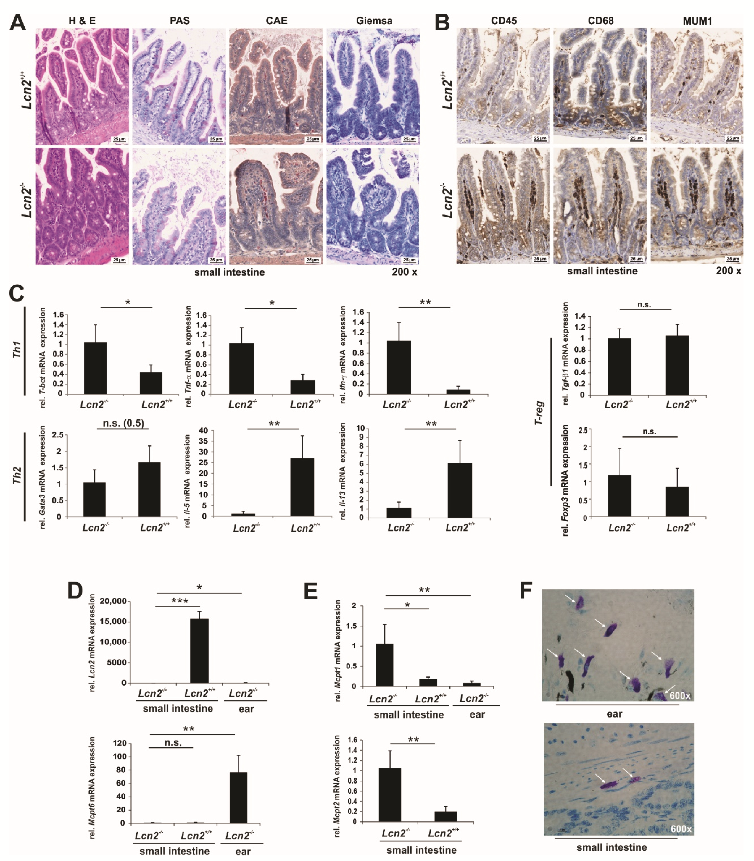 Ijms 22 13156 g009 Ijms 22 13156 g009