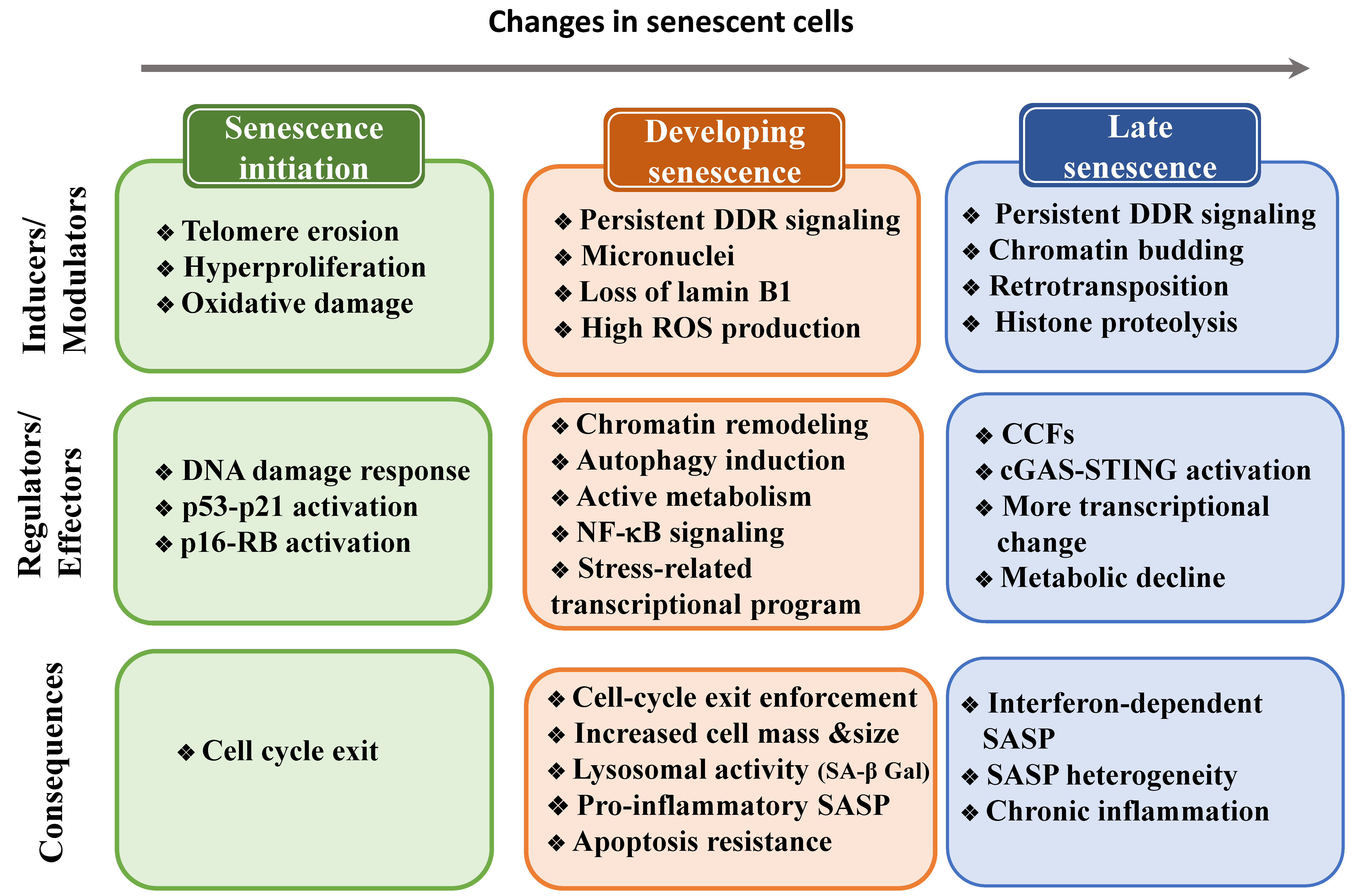 Ijms 22 13173 g002 Ijms 22 13173 g002