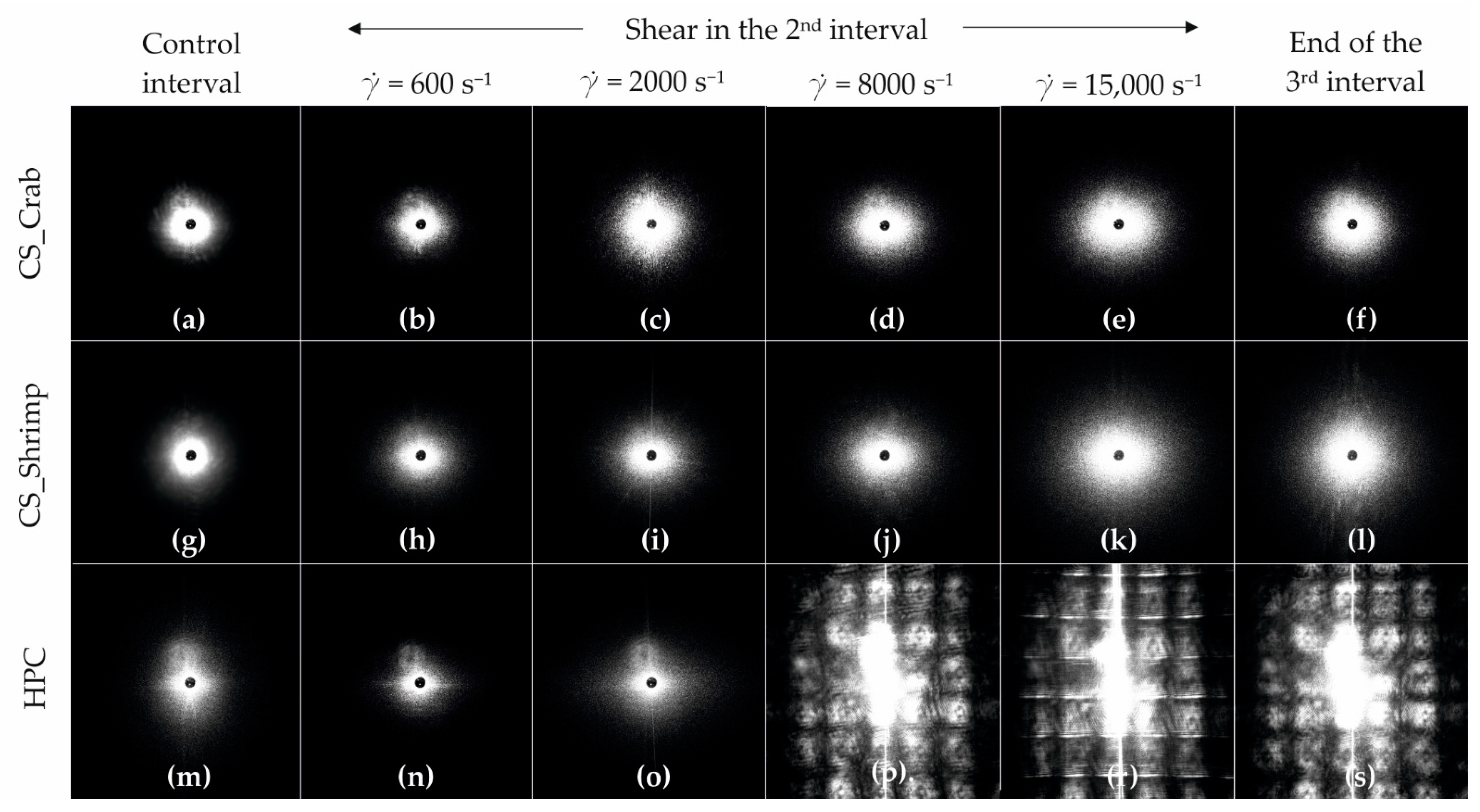Ijms 22 13208 g015 Ijms 22 13208 g015