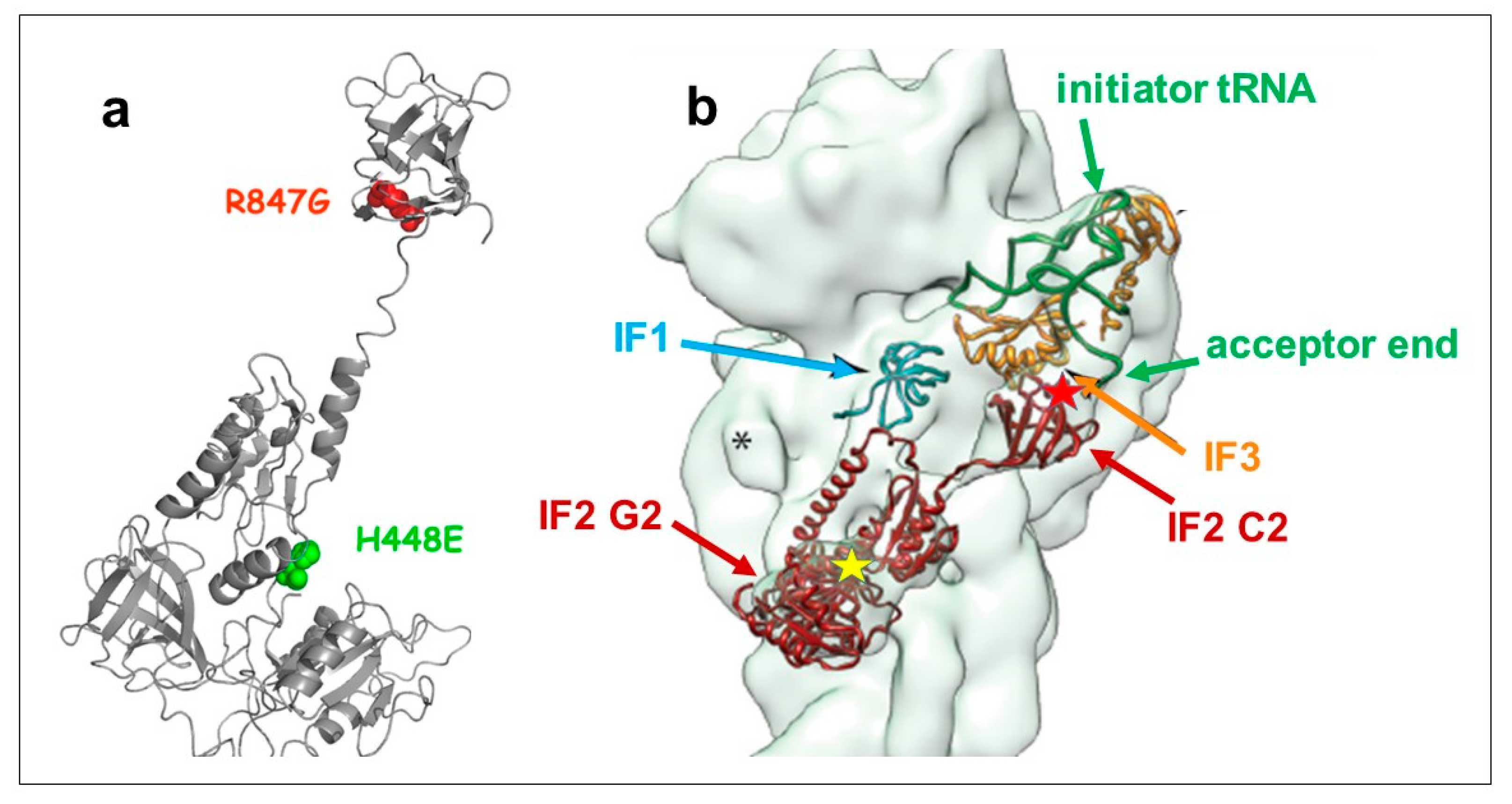 Ijms 22 13238 g001 Ijms 22 13238 g001