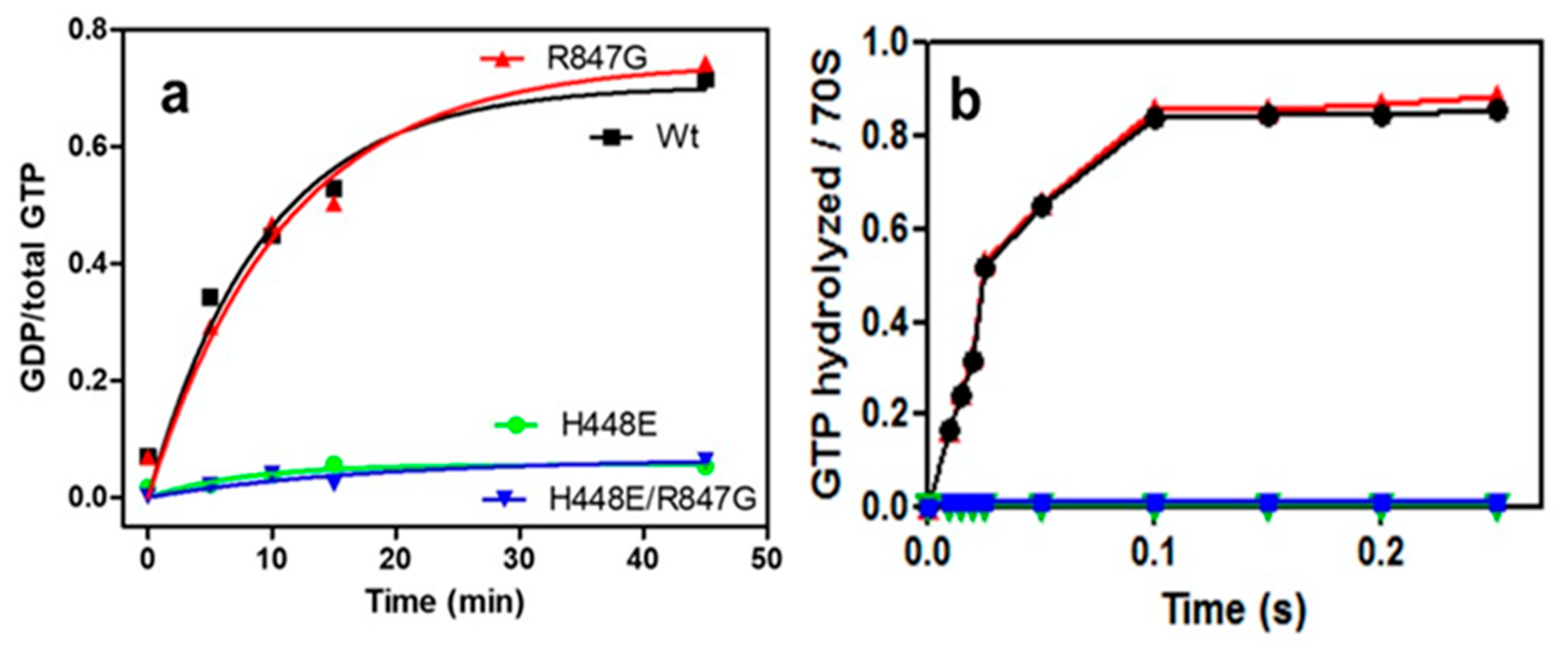 Ijms 22 13238 g003 Ijms 22 13238 g003