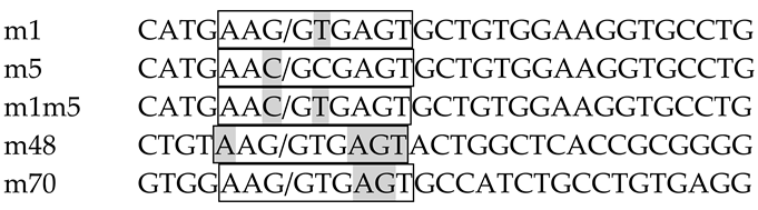 Ijms 22 13248 i003 Ijms 22 13248 i003