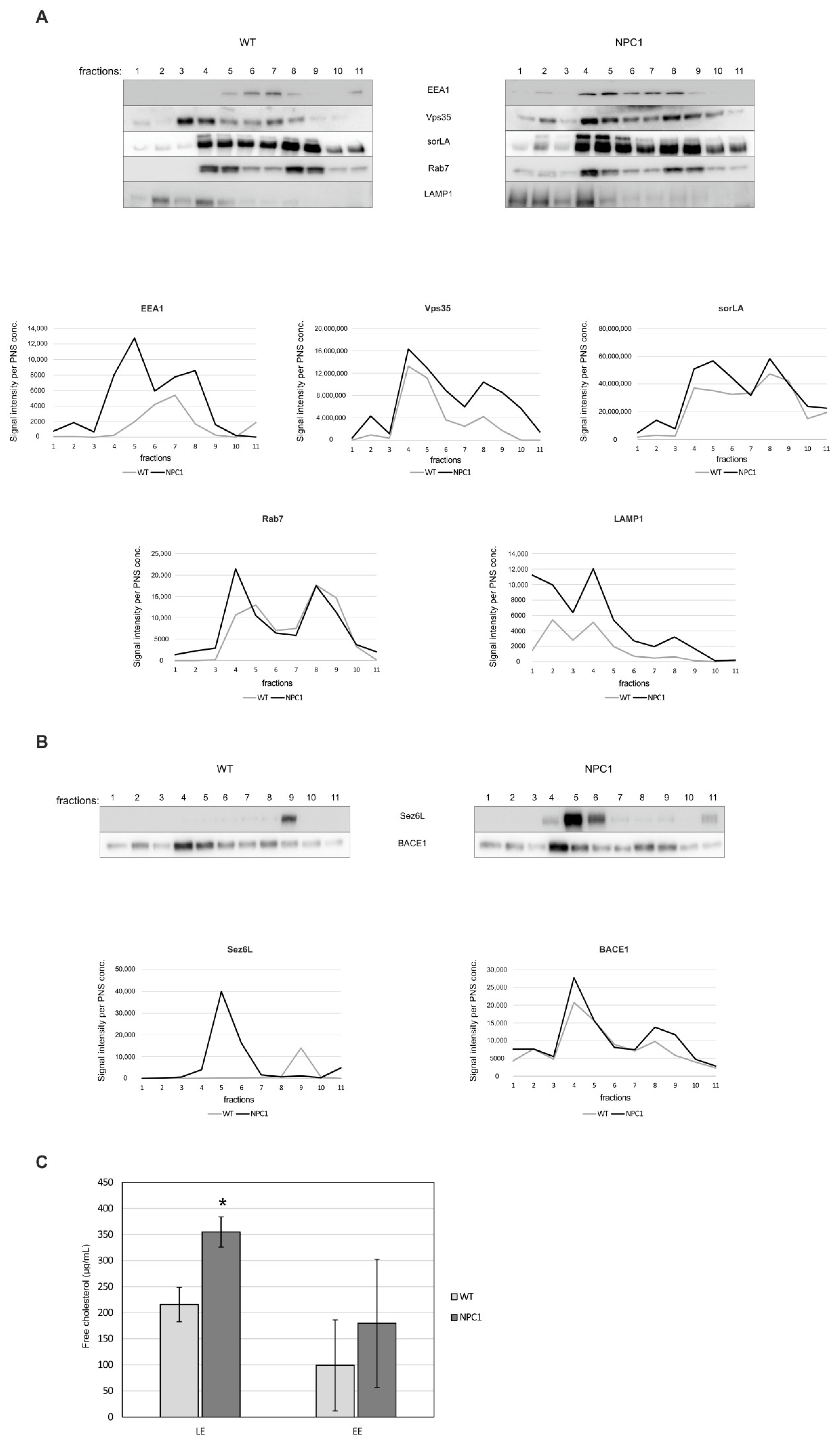 Ijms 22 13256 g005 Ijms 22 13256 g005