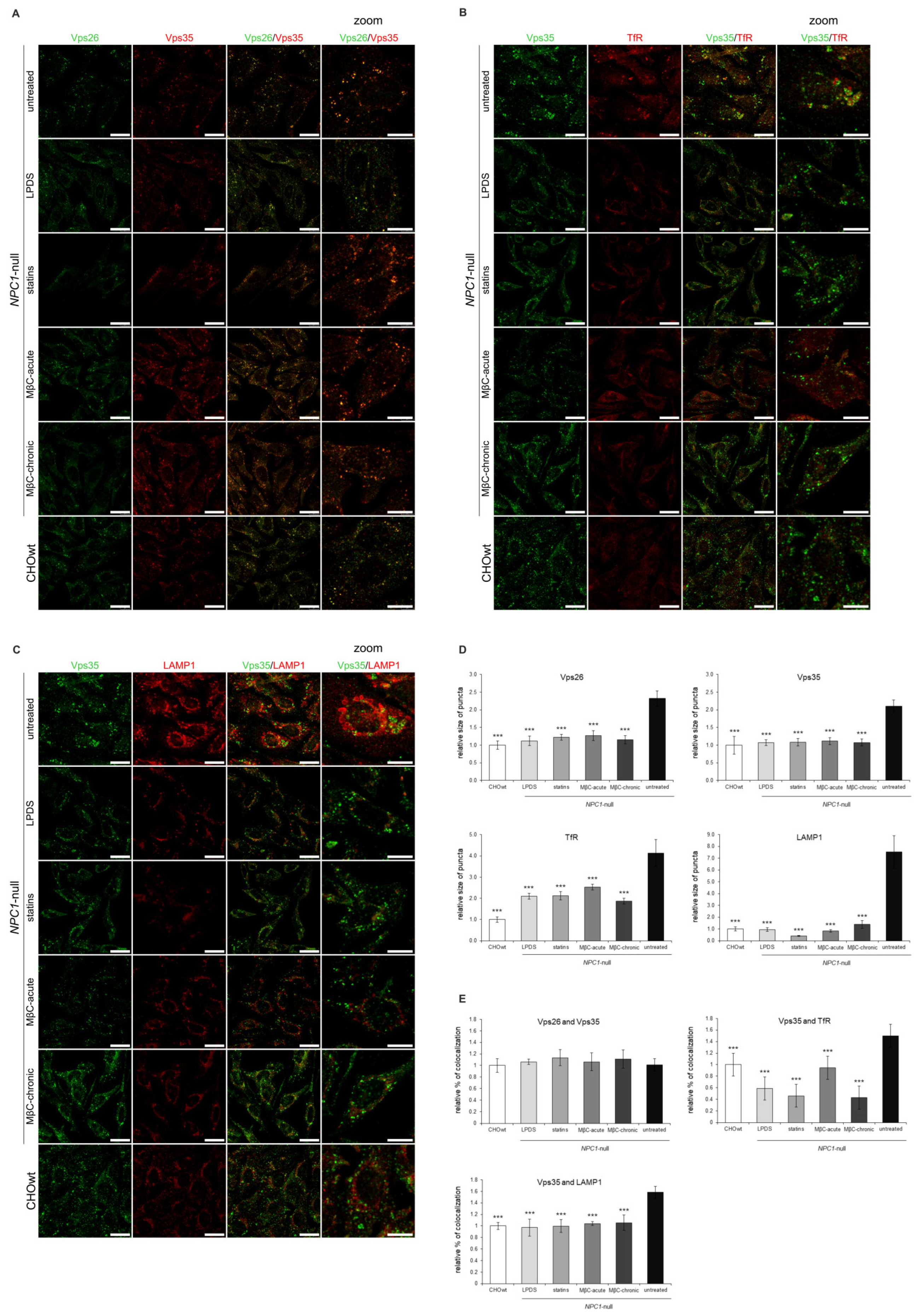 Ijms 22 13256 g008 Ijms 22 13256 g008