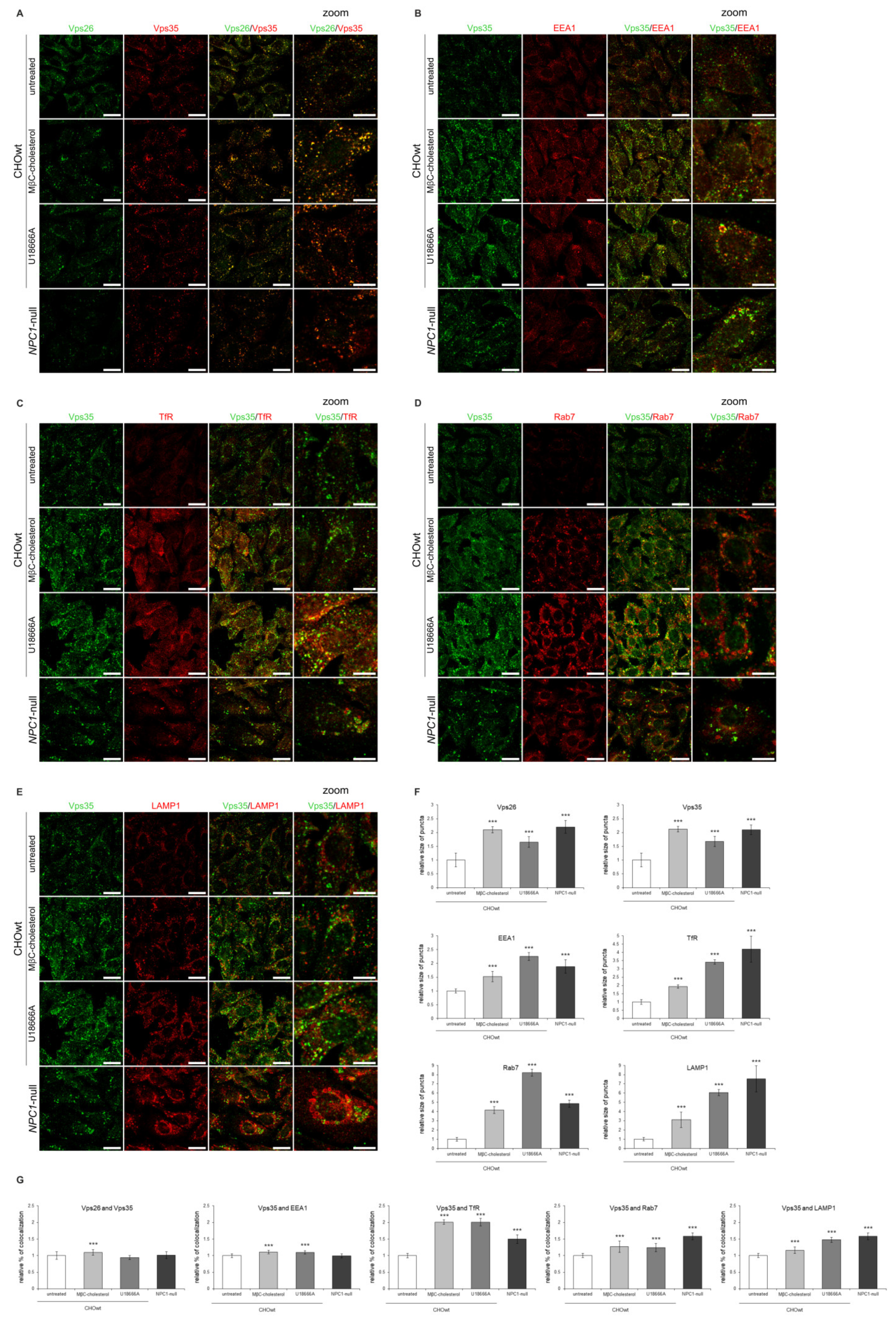 Ijms 22 13256 g009 Ijms 22 13256 g009