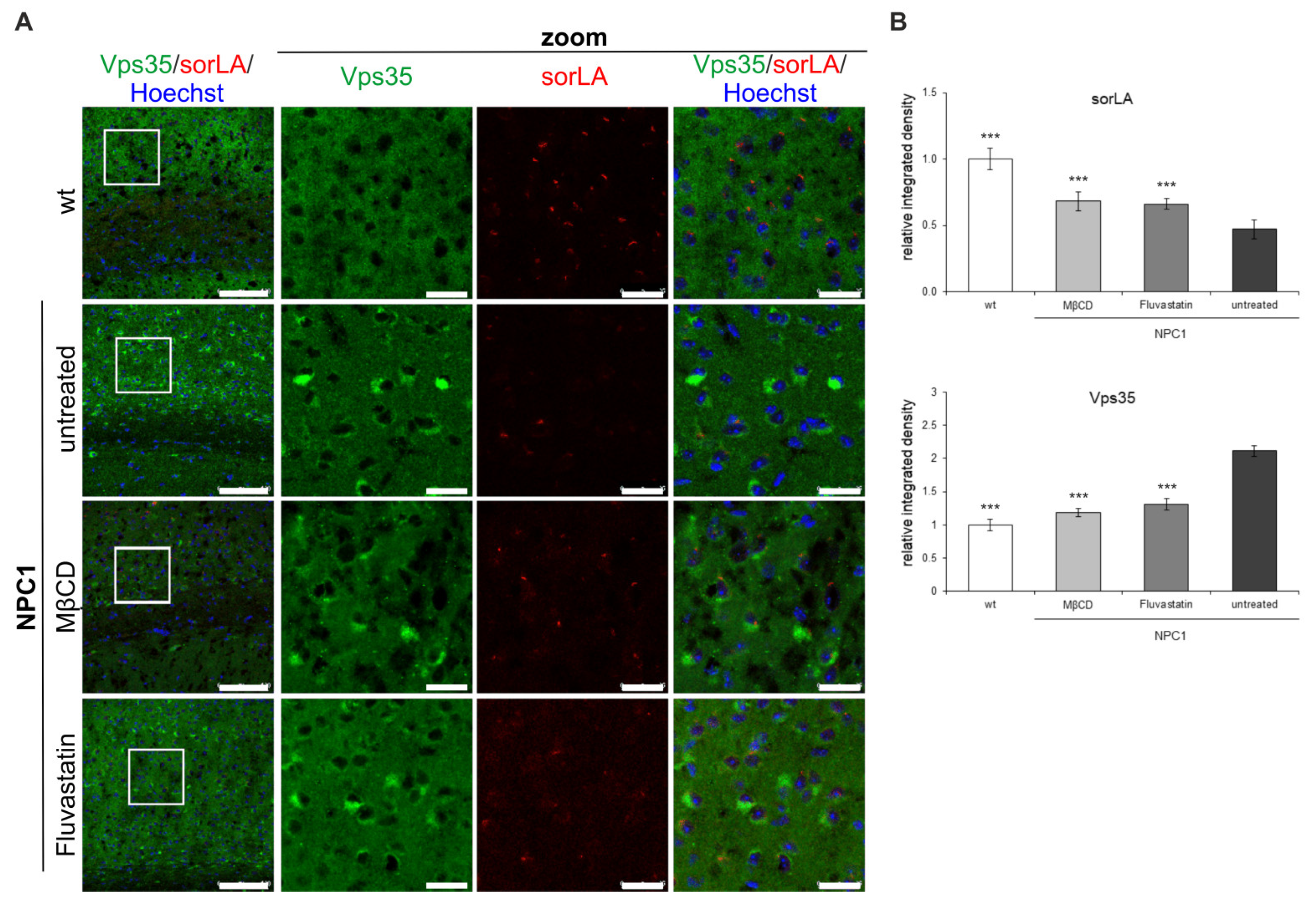 Ijms 22 13256 g010 Ijms 22 13256 g010
