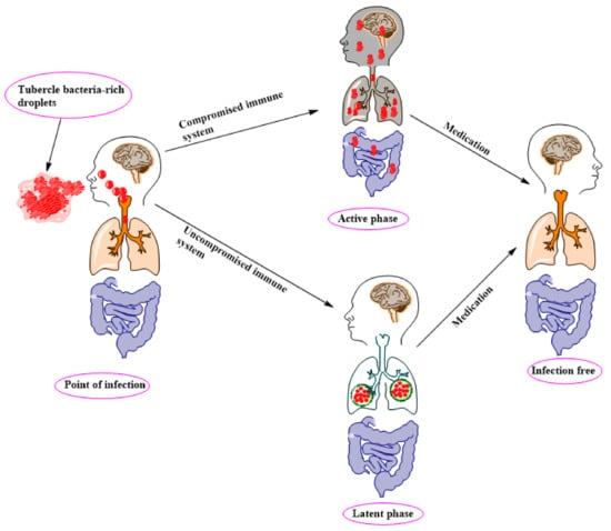 IJMS | Free Full-Text | Drug Discovery For Mycobacterium Tuberculosis ...