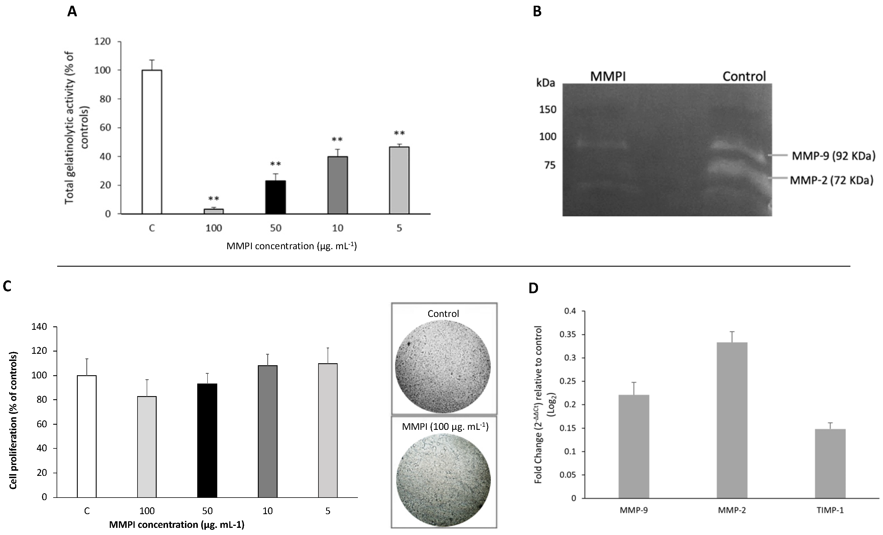 Ijms 22 13286 g004 Ijms 22 13286 g004