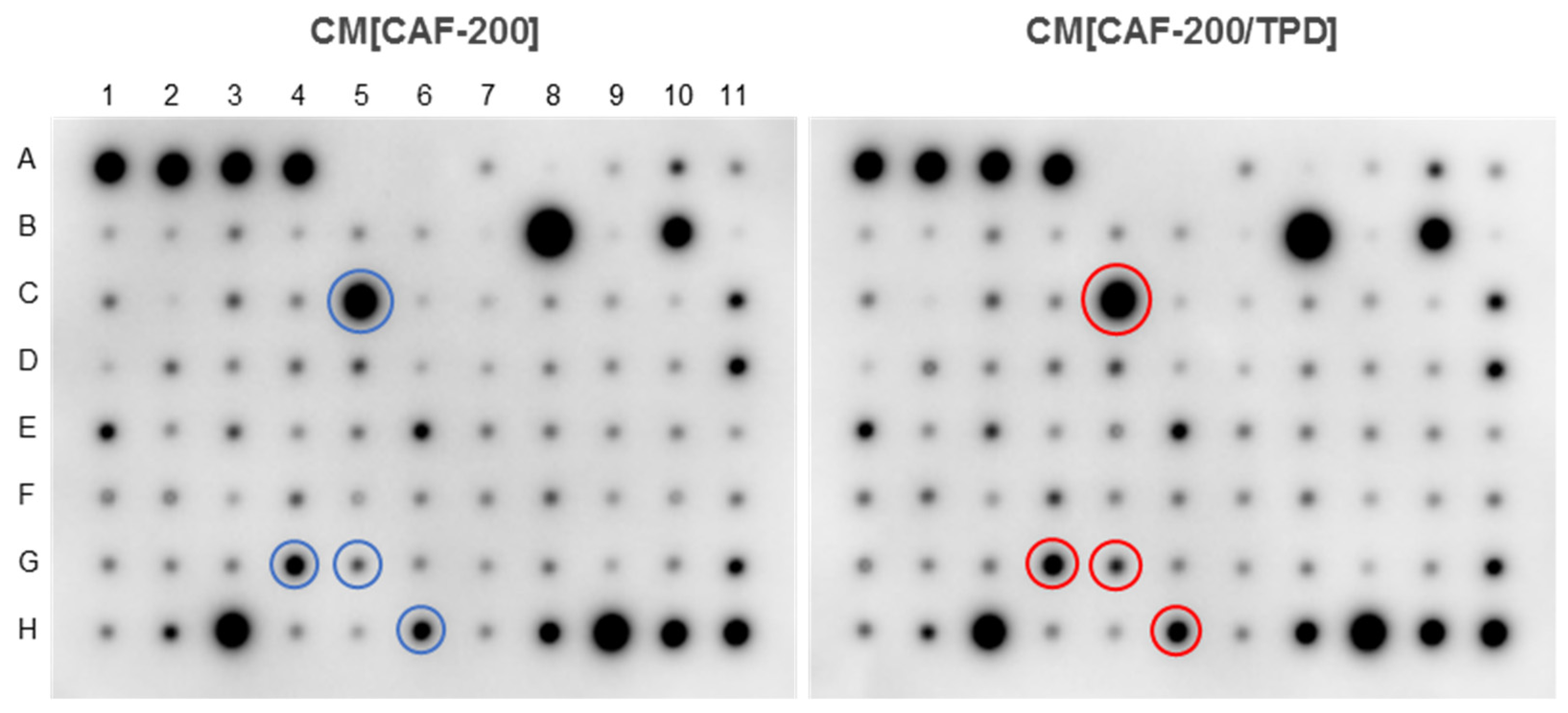 Ijms 22 13297 g006
