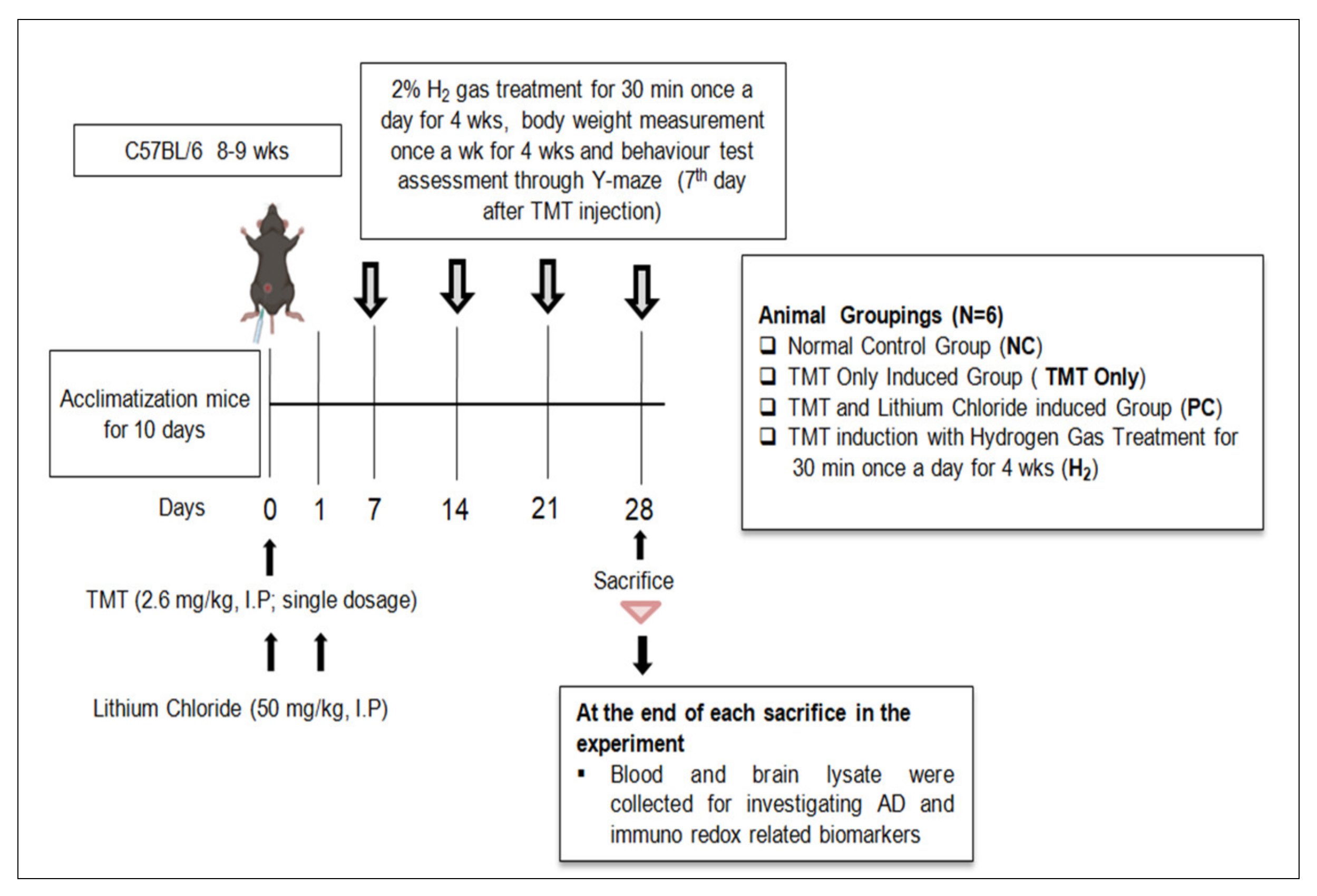 Ijms 22 13313 g001 Ijms 22 13313 g001