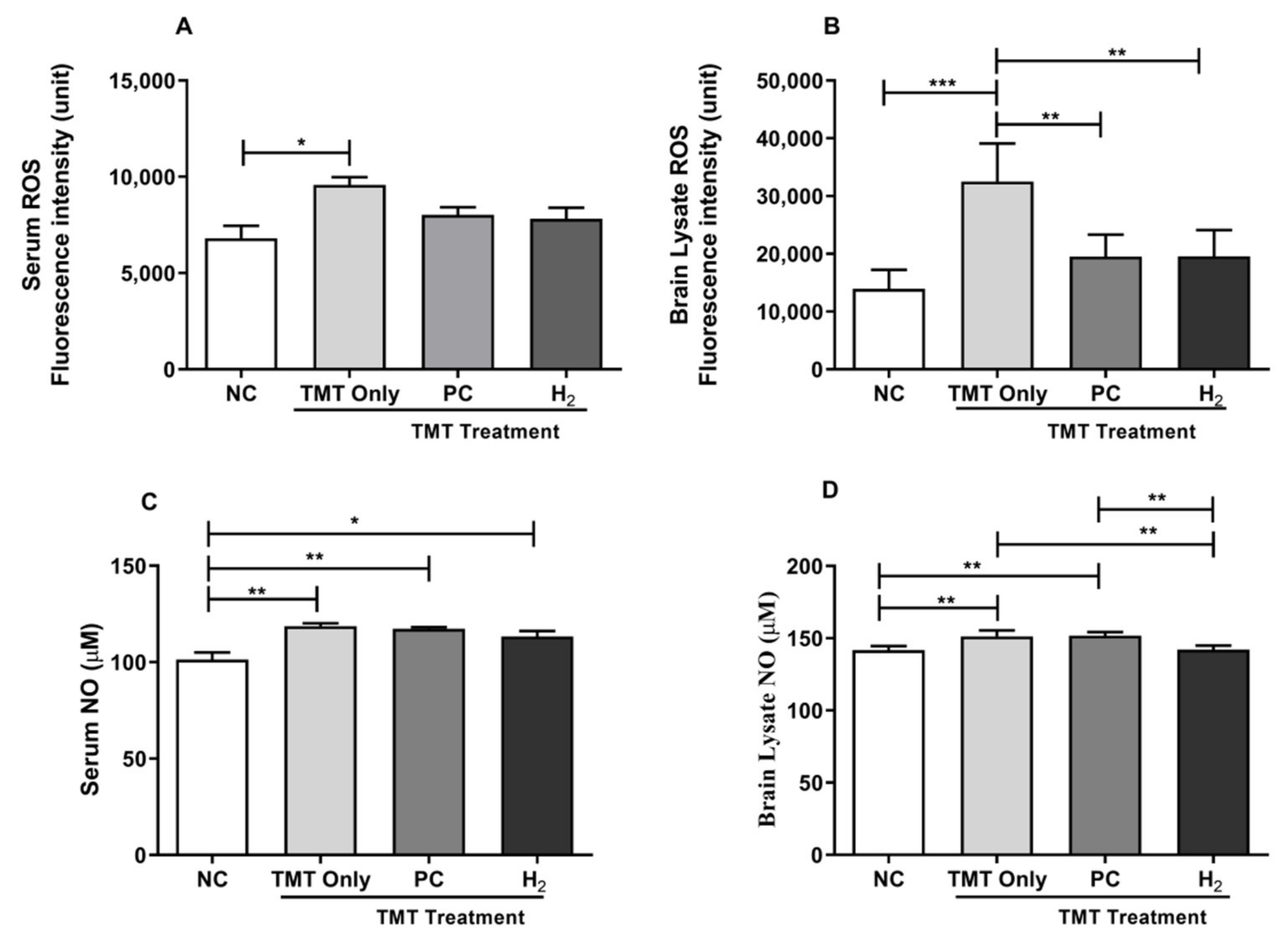 Ijms 22 13313 g004 Ijms 22 13313 g004