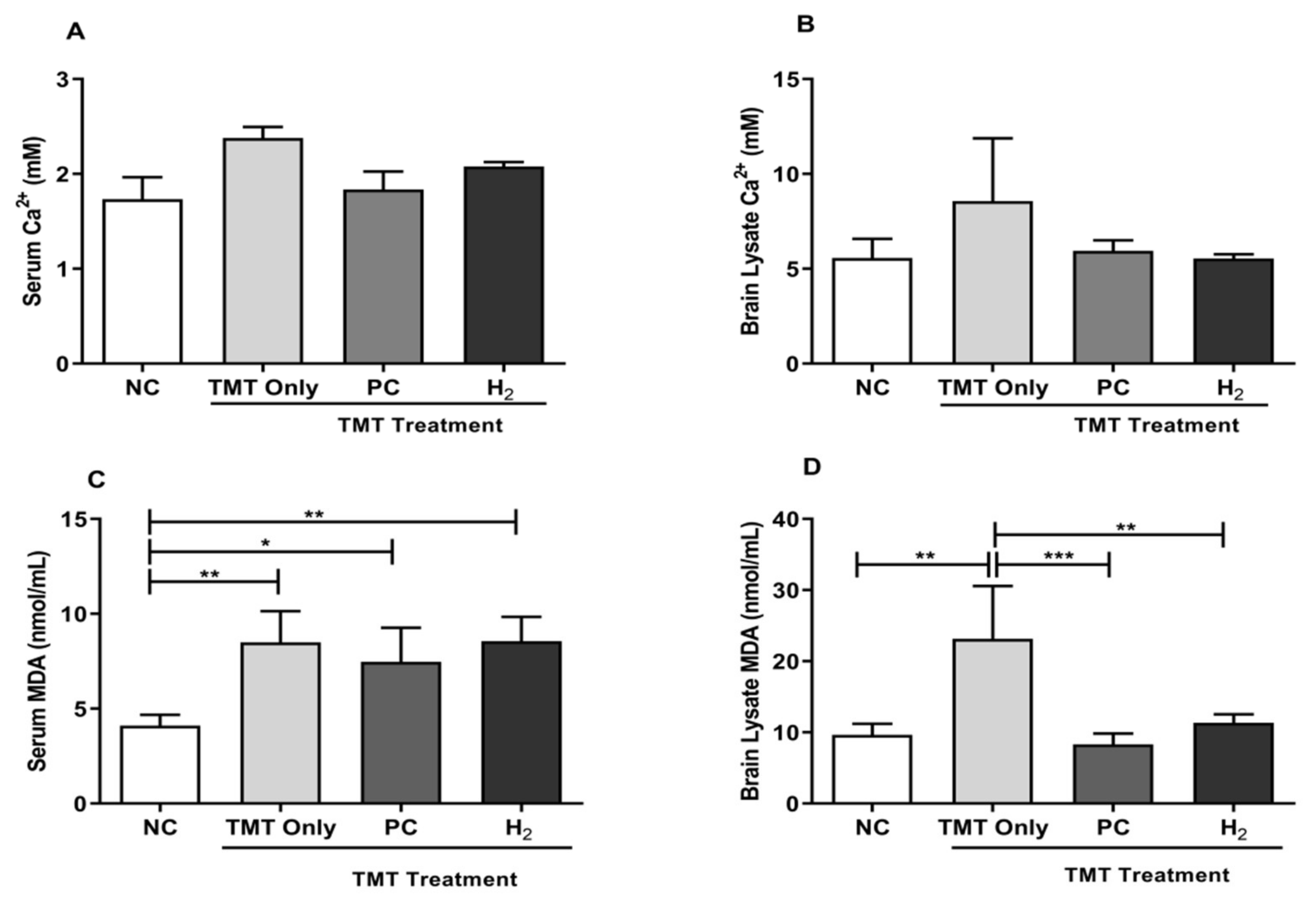 Ijms 22 13313 g005 Ijms 22 13313 g005