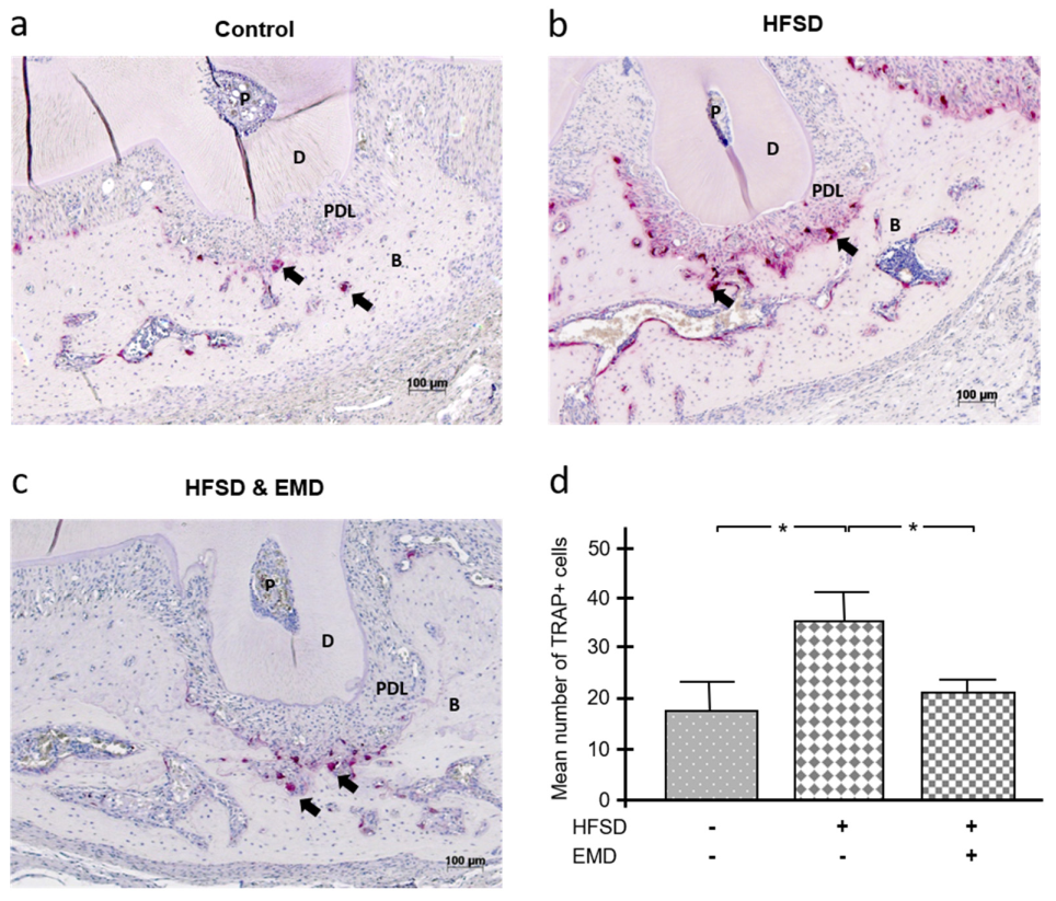 https://www.mdpi.com/ijms/ijms-22-13339/article_deploy/html/images/ijms-22-13339-g002.png