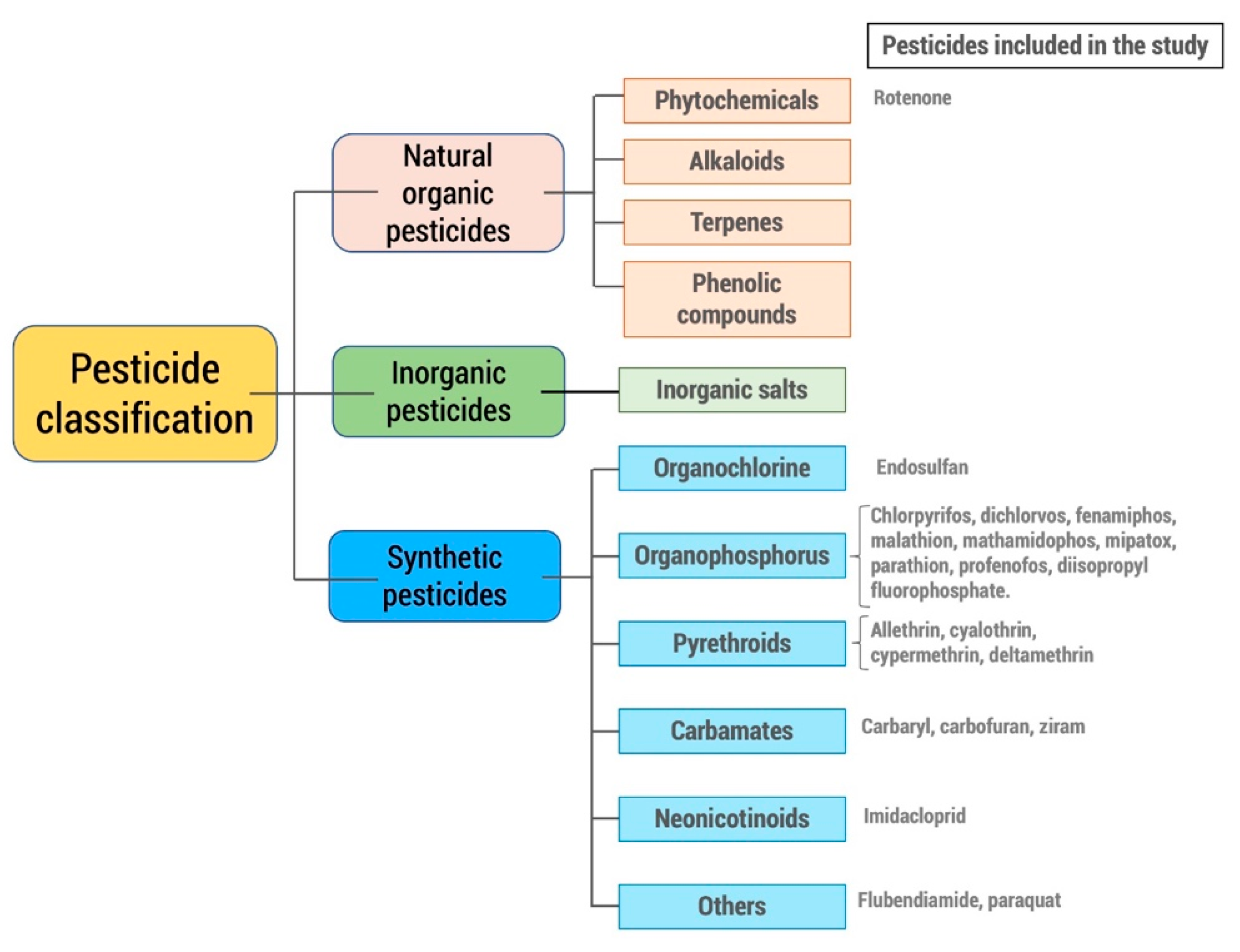 Ijms 22 13376 g002 Ijms 22 13376 g002