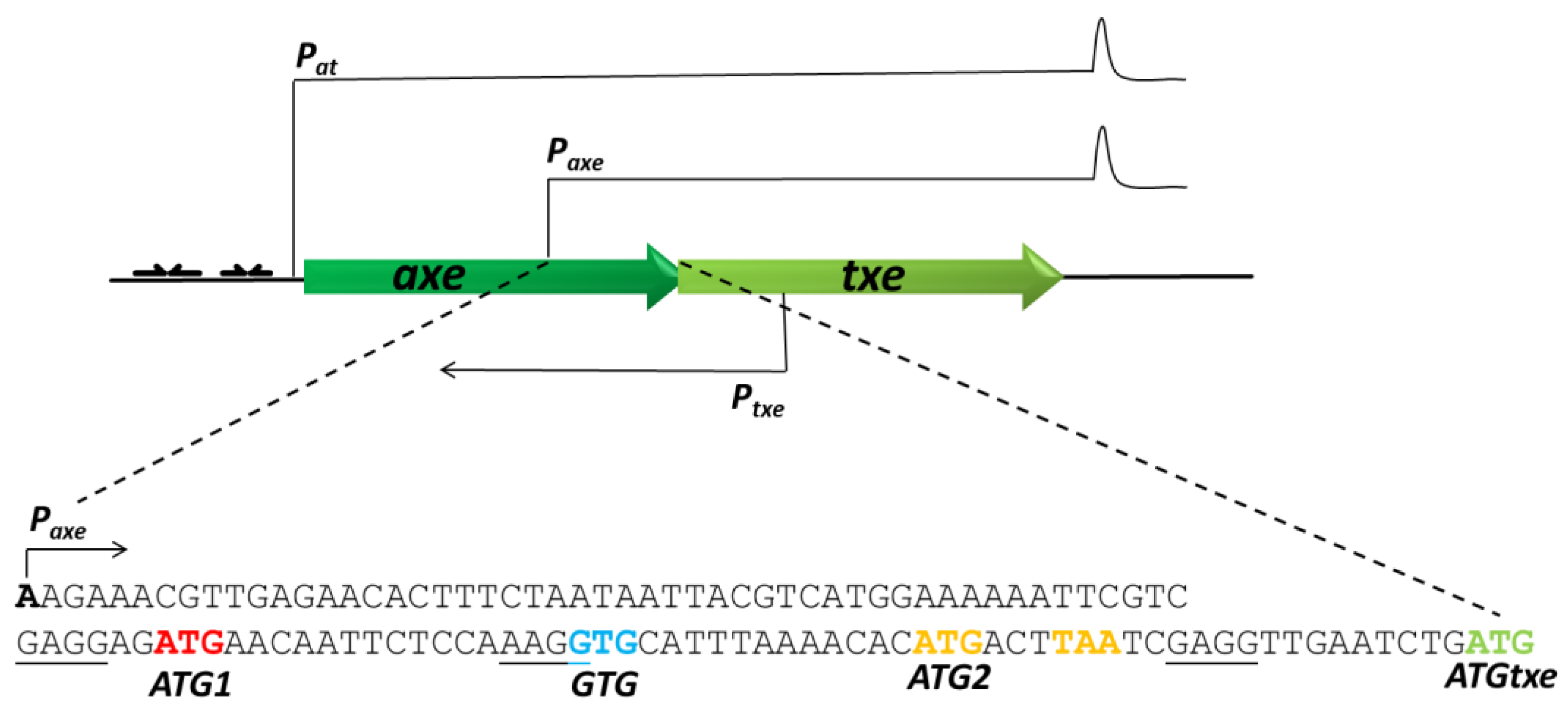 Ijms 22 13389 g001 Ijms 22 13389 g001