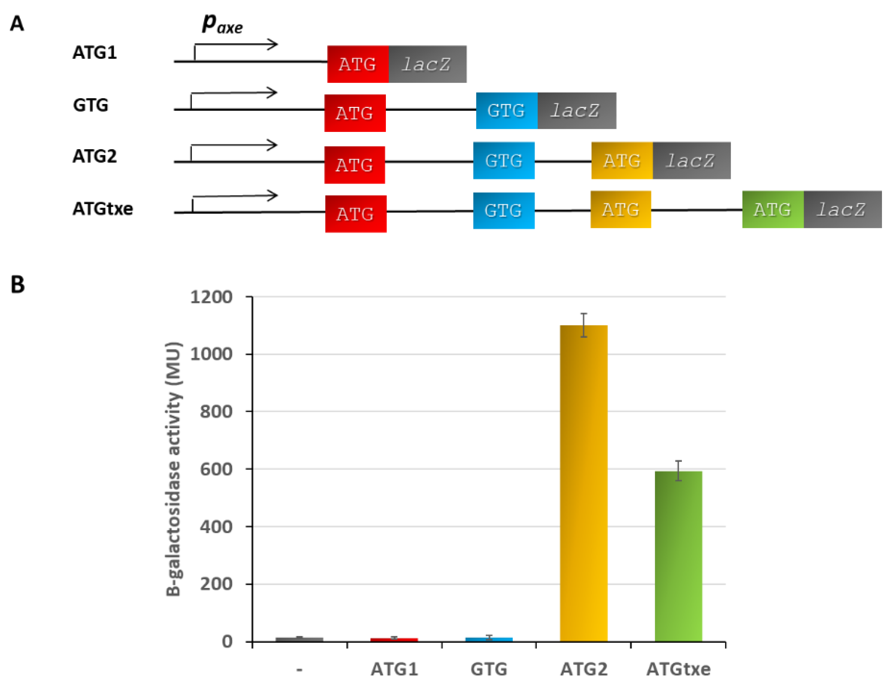 Ijms 22 13389 g002 Ijms 22 13389 g002