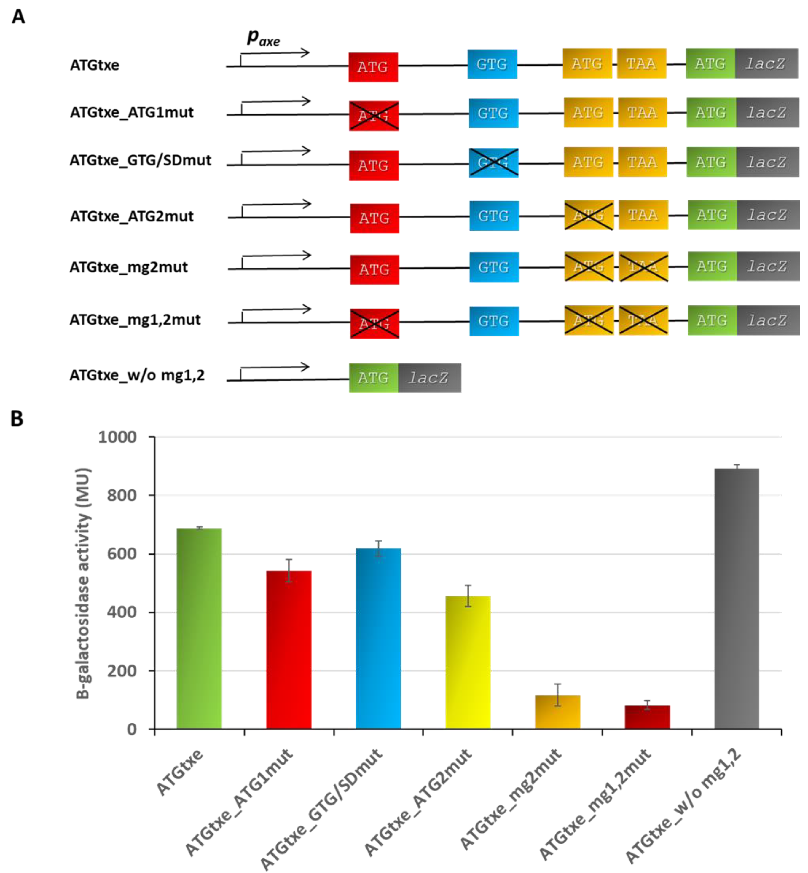 Ijms 22 13389 g003 Ijms 22 13389 g003