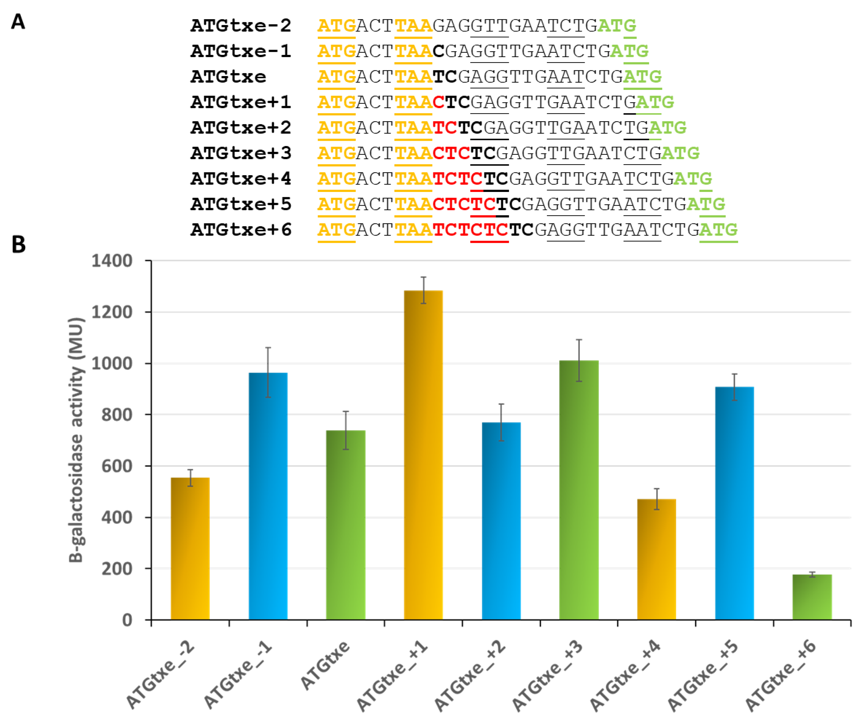 Ijms 22 13389 g005 Ijms 22 13389 g005