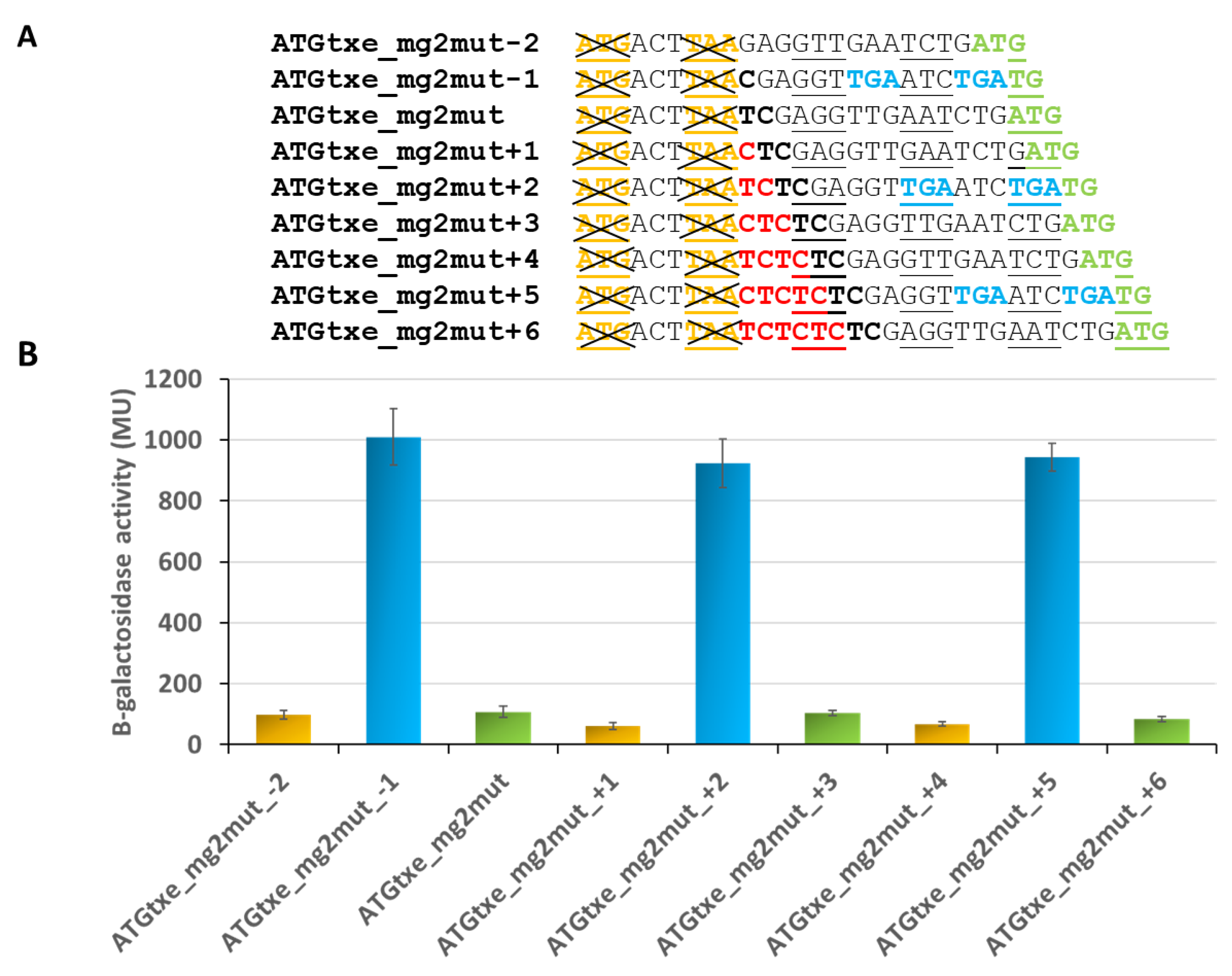 Ijms 22 13389 g006 Ijms 22 13389 g006