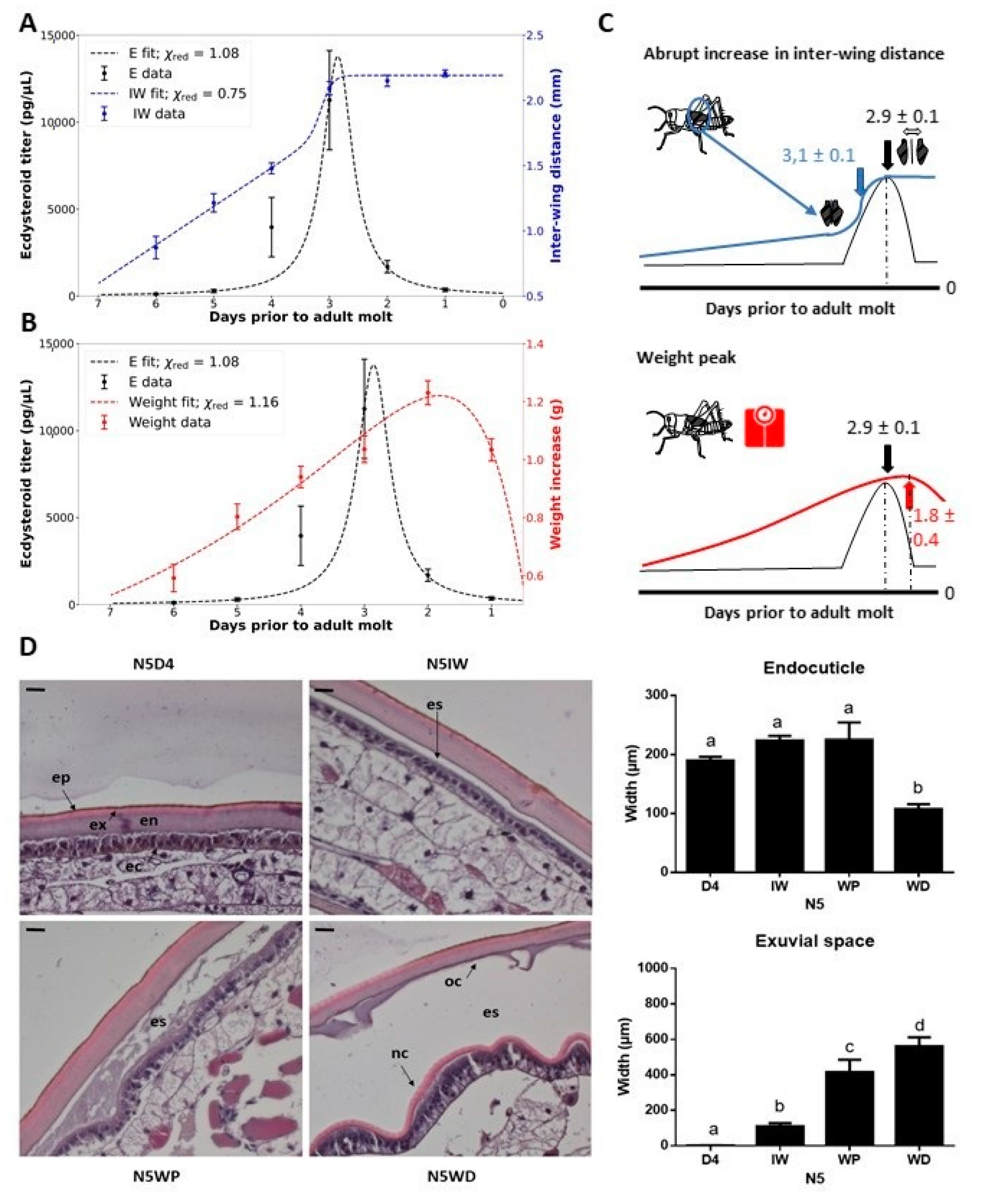 Ijms 22 13465 g001 Ijms 22 13465 g001