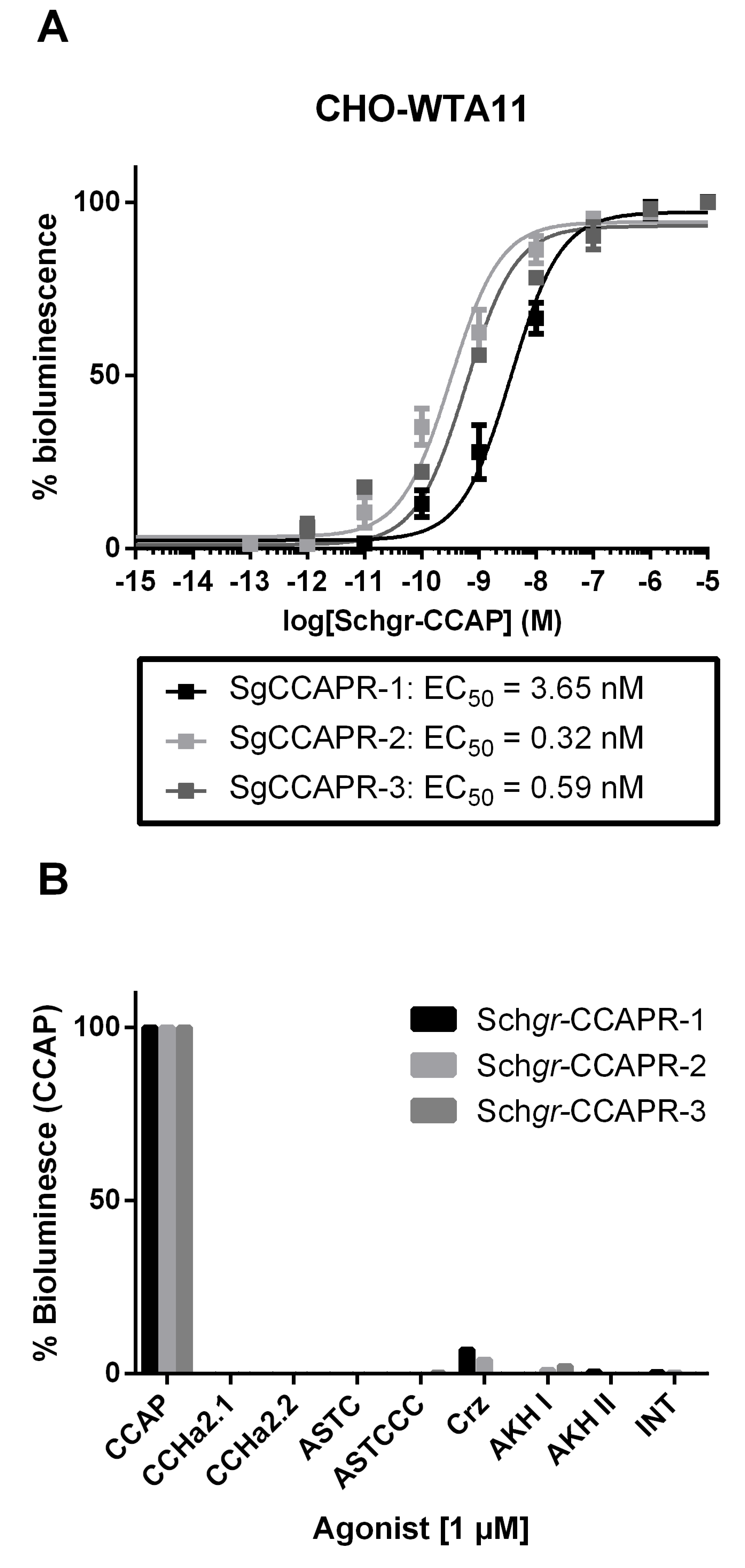 Ijms 22 13465 g002 Ijms 22 13465 g002