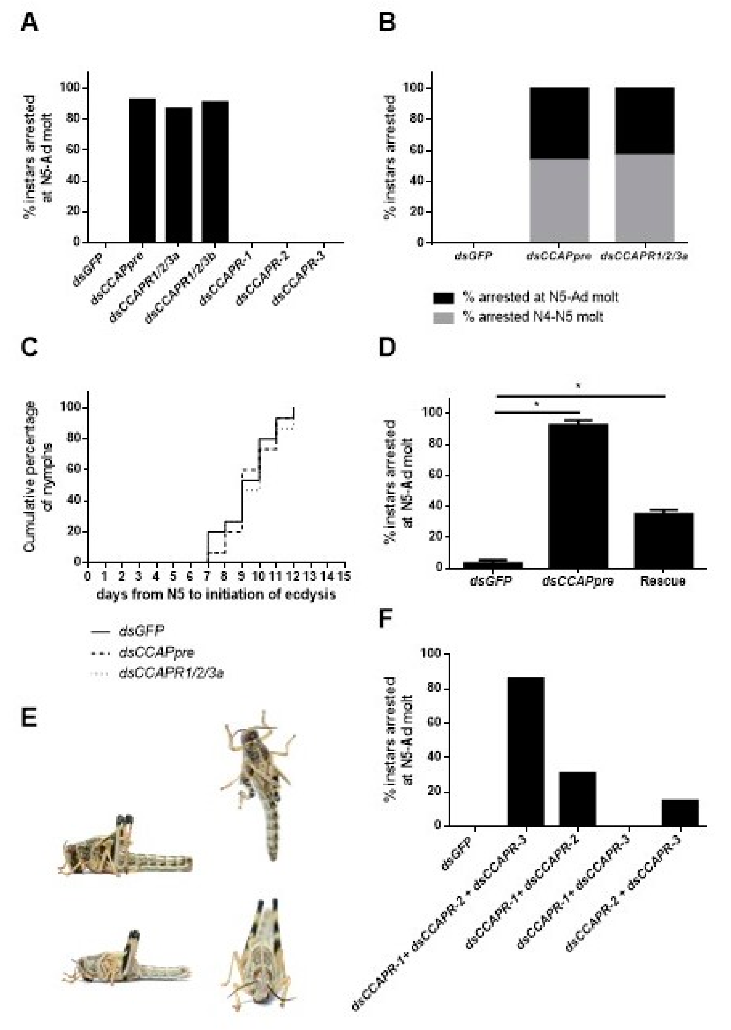 Ijms 22 13465 g004 Ijms 22 13465 g004