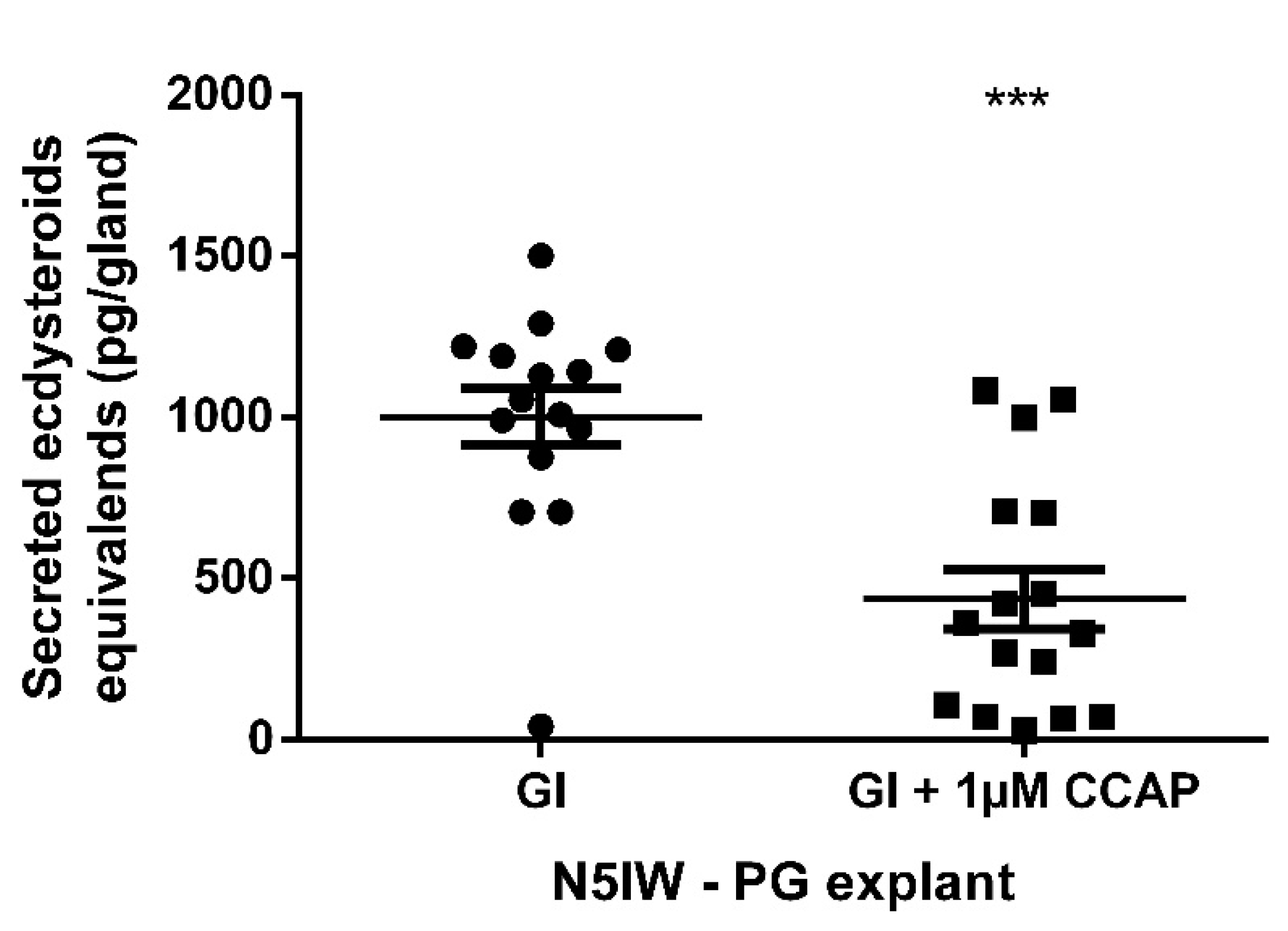 Ijms 22 13465 g006 Ijms 22 13465 g006