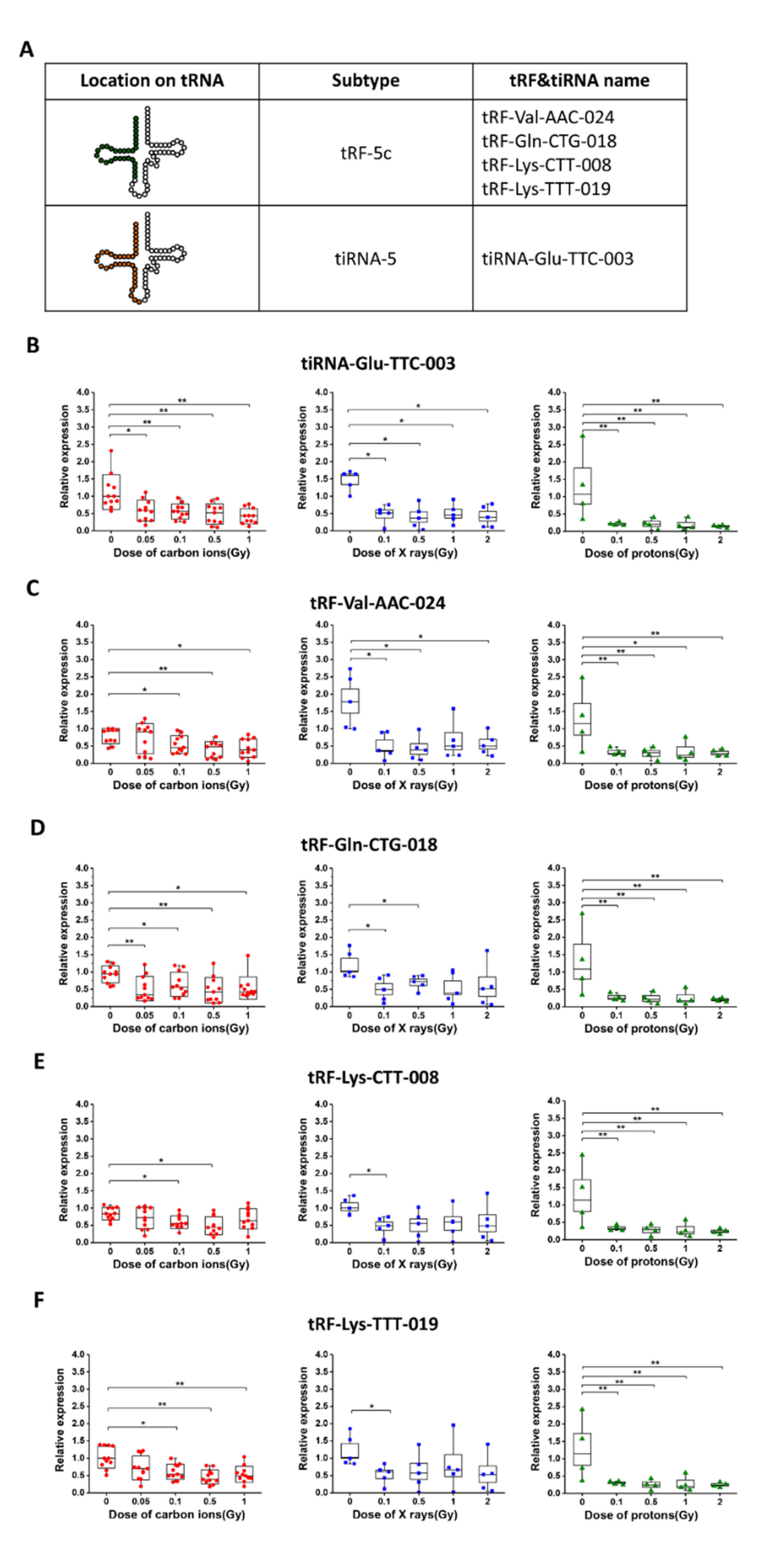 Ijms 22 13476 g003 Ijms 22 13476 g003