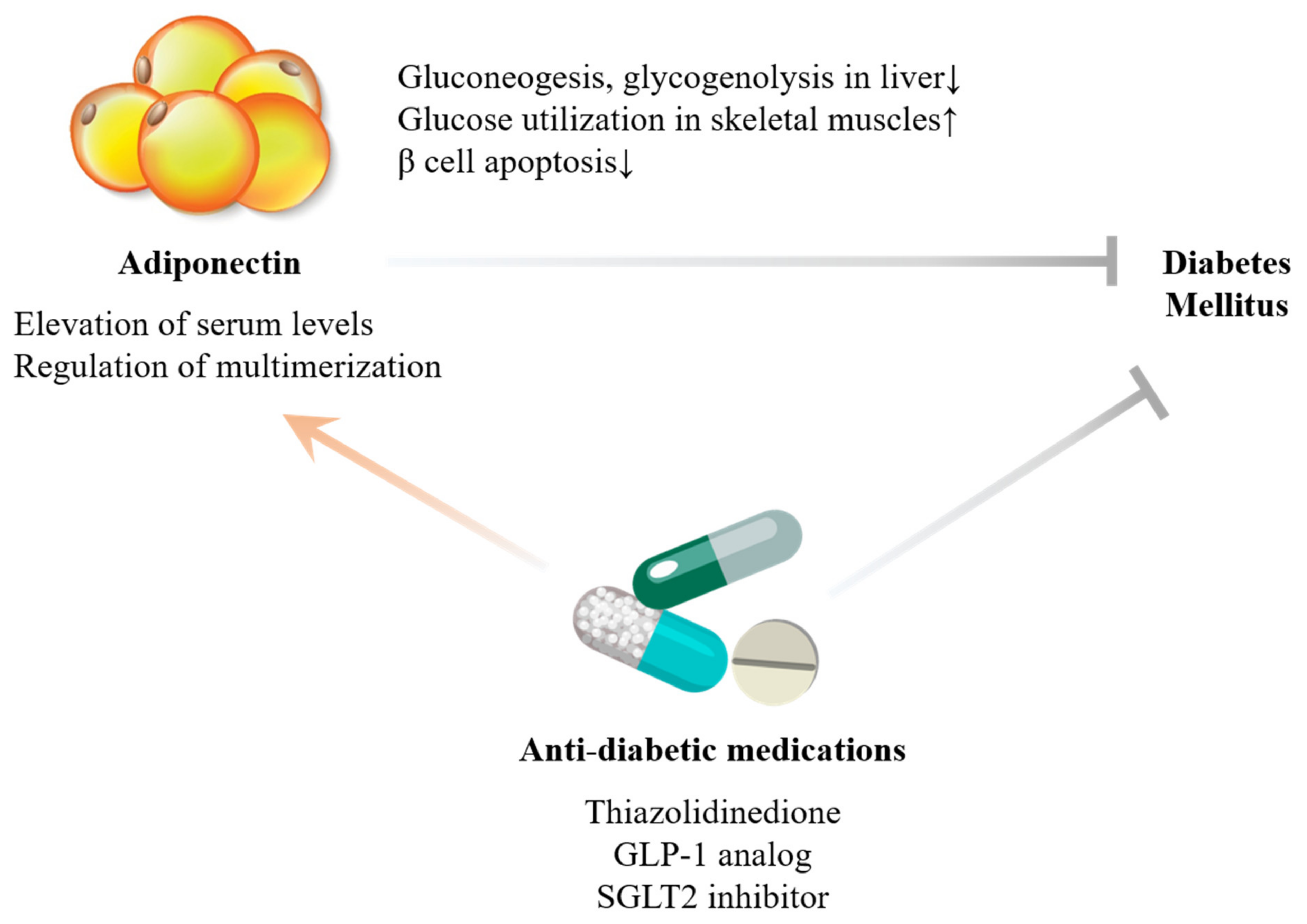 Ijms 22 13529 g001 Ijms 22 13529 g001