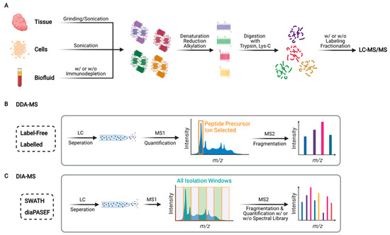 Proteome-Scale Analysis of Protein S-Acylation Comes of Age