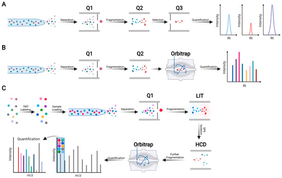 Proteome-Scale Analysis of Protein S-Acylation Comes of Age