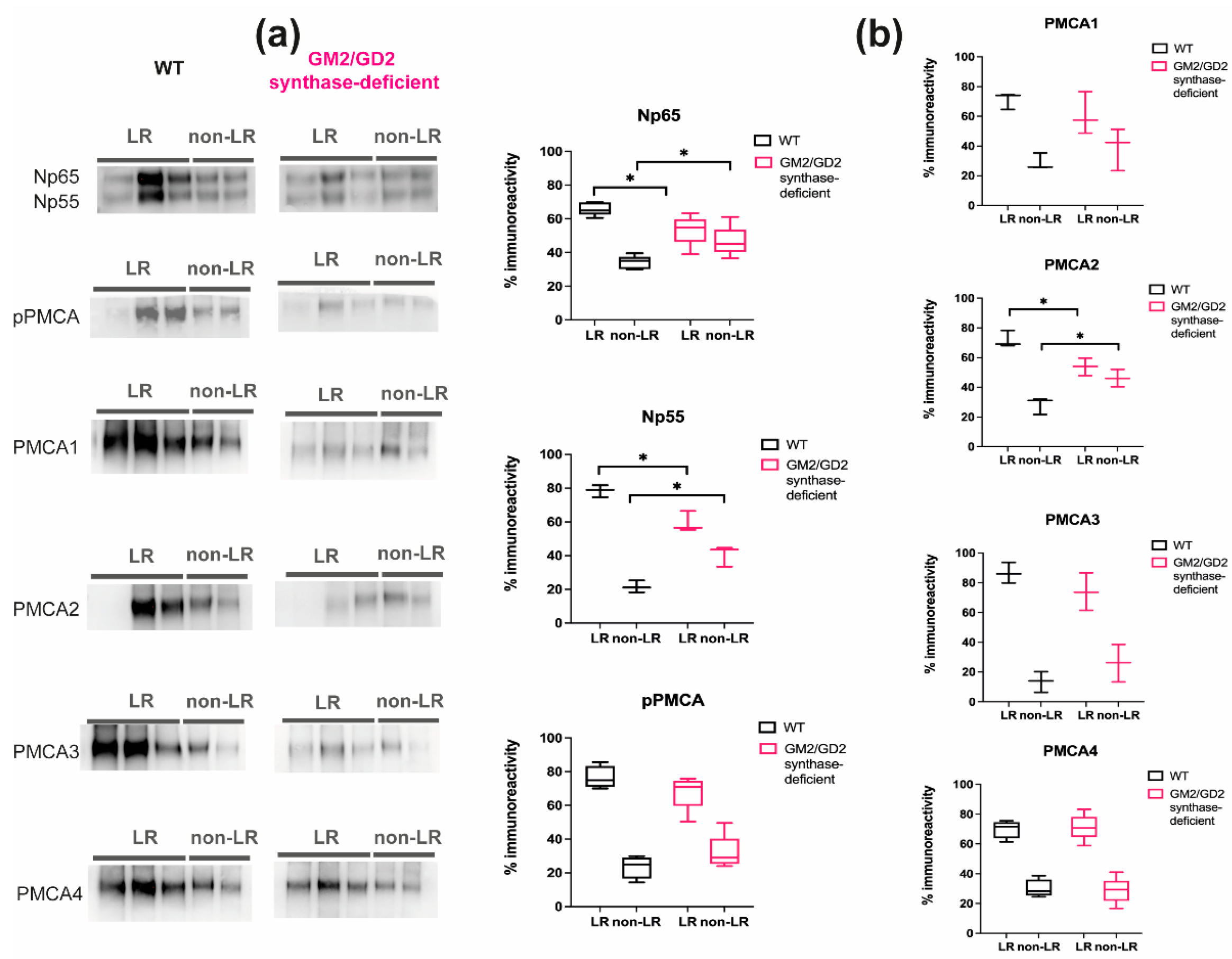 Ijms 22 13590 g001 Ijms 22 13590 g001