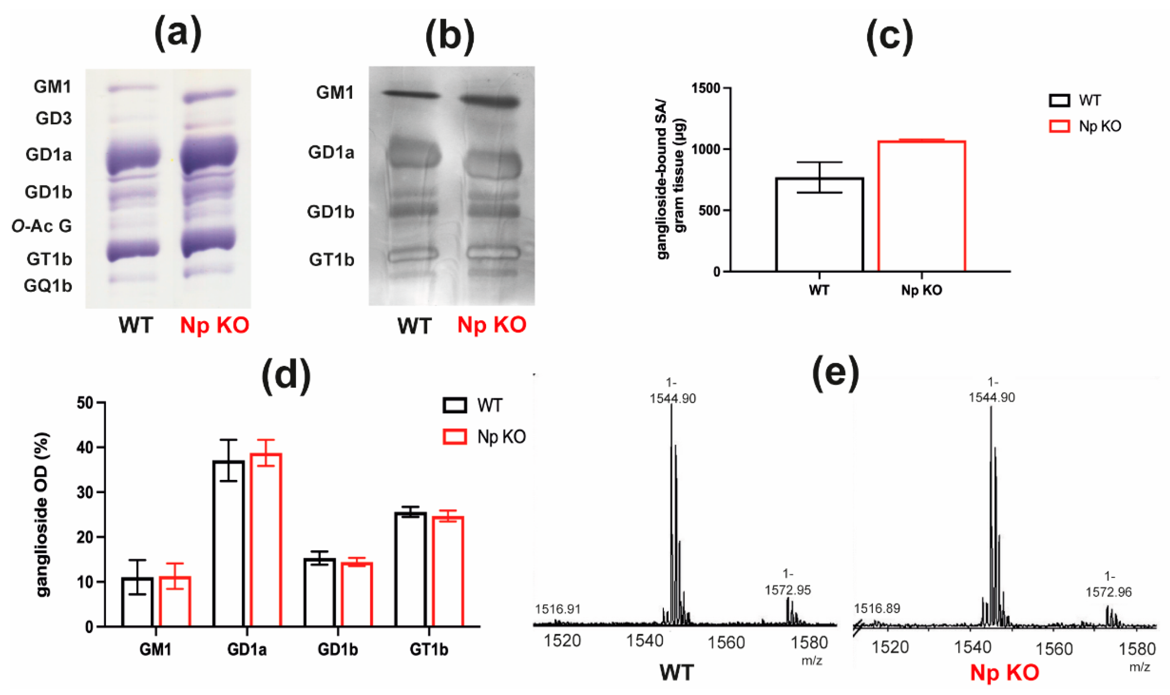 Ijms 22 13590 g004 Ijms 22 13590 g004
