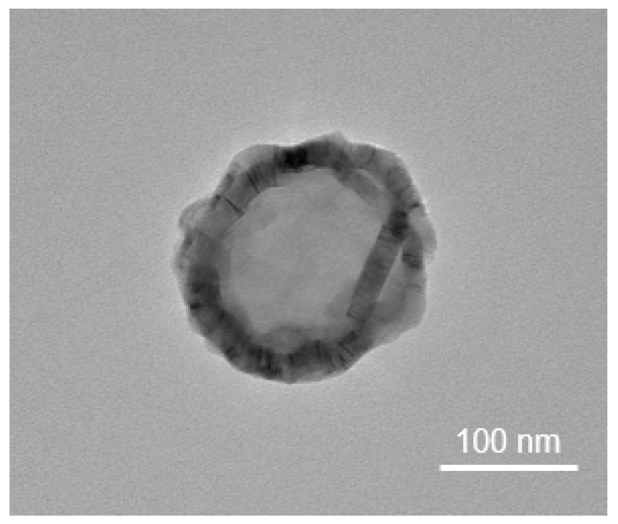 Ijms 22 13672 g002 Ijms 22 13672 g002