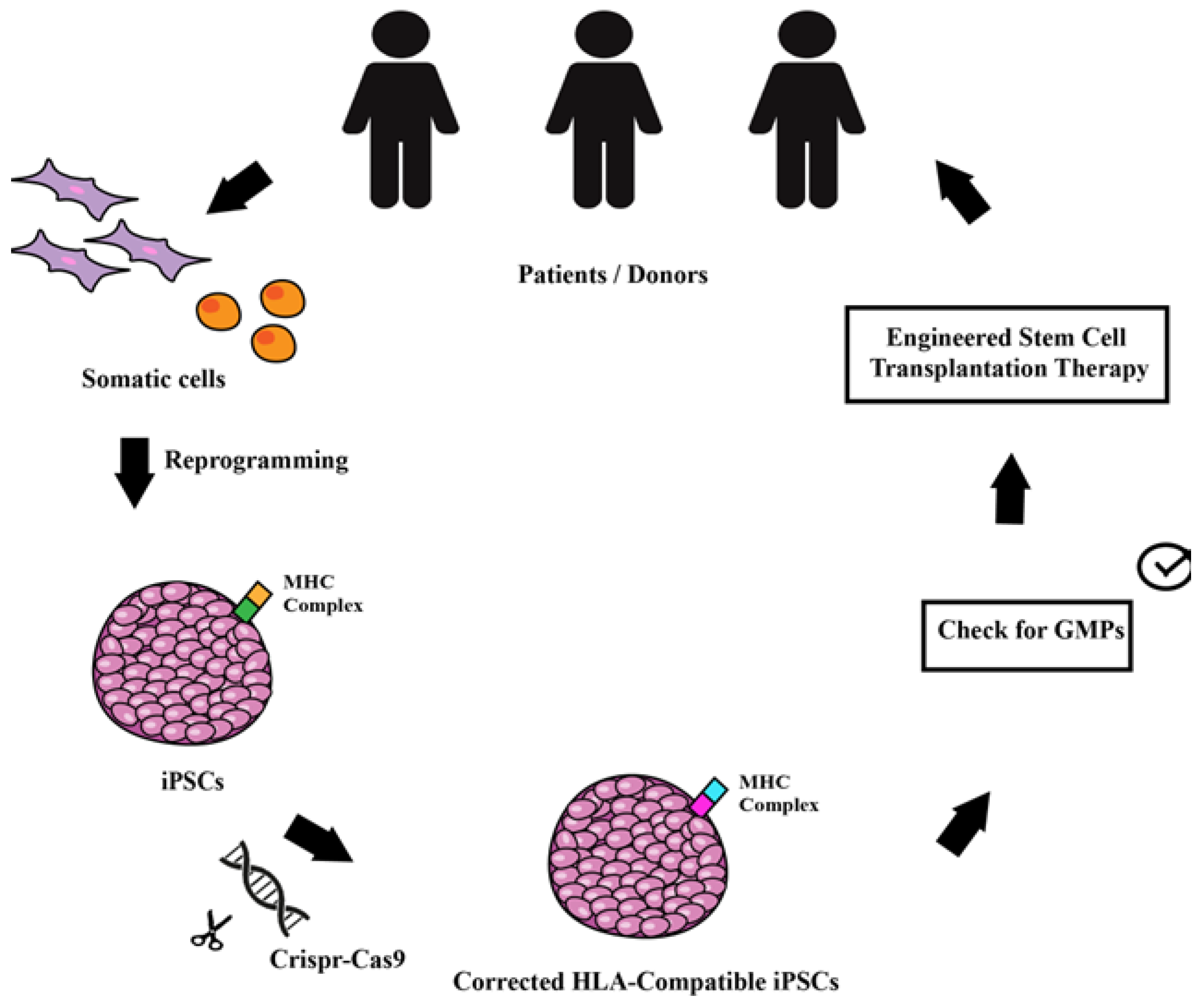 IJMS | Free Full-Text | Induced Pluripotent Stem Cells (iPSCs) and Gene  Therapy: A New Era for the Treatment of Neurological Diseases