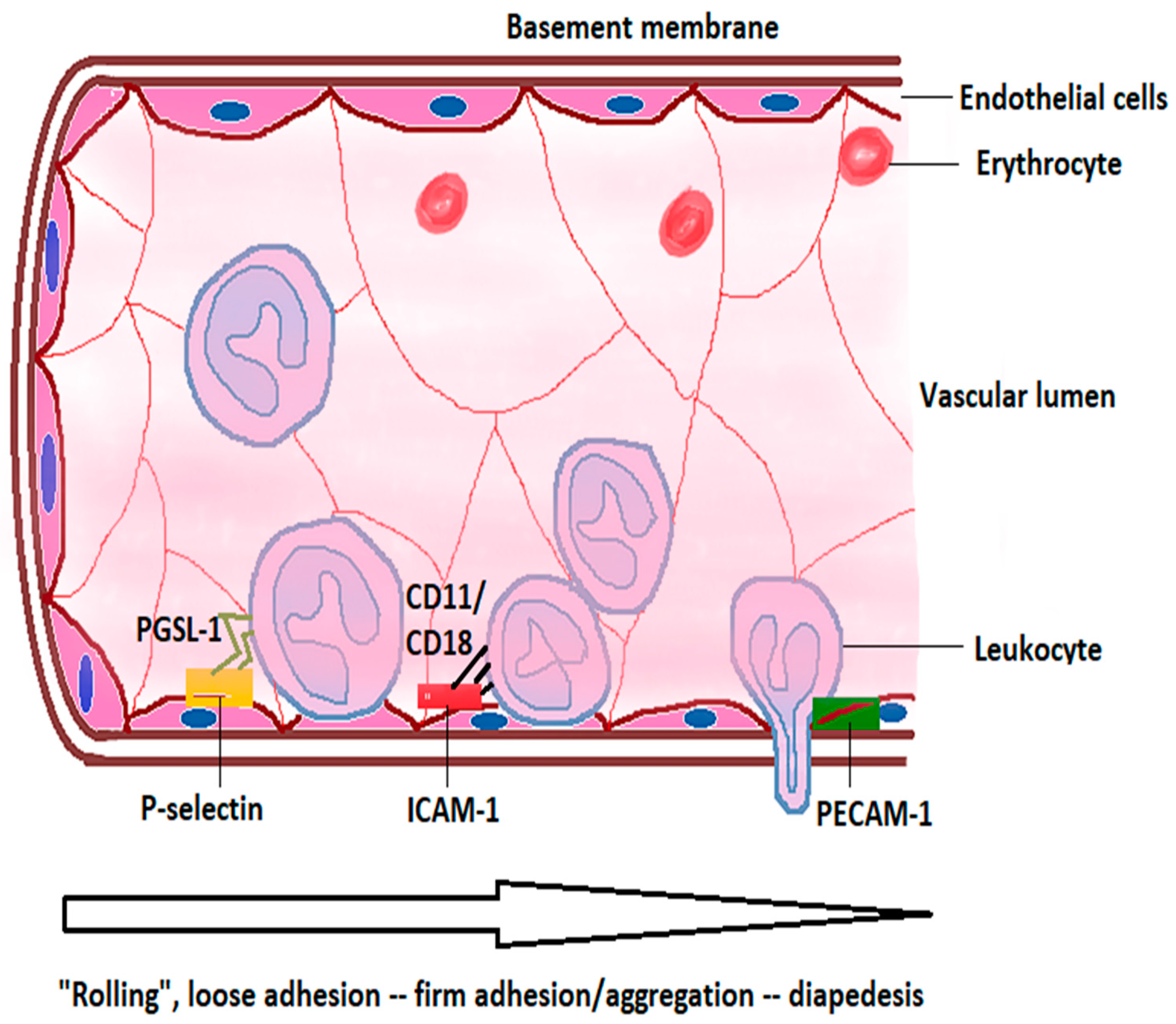 Ijms 23 00014 g001 Ijms 23 00014 g001