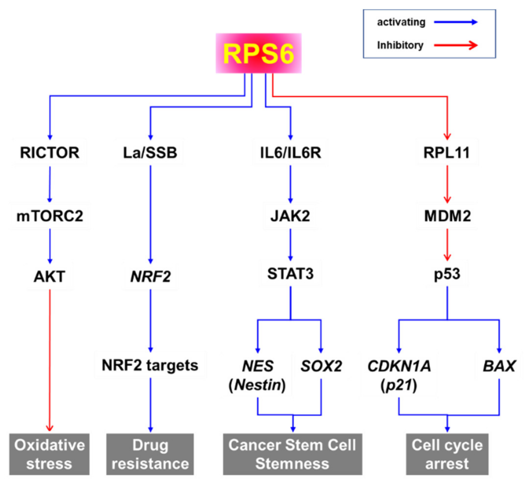 Ijms 23 00048 g006 Ijms 23 00048 g006